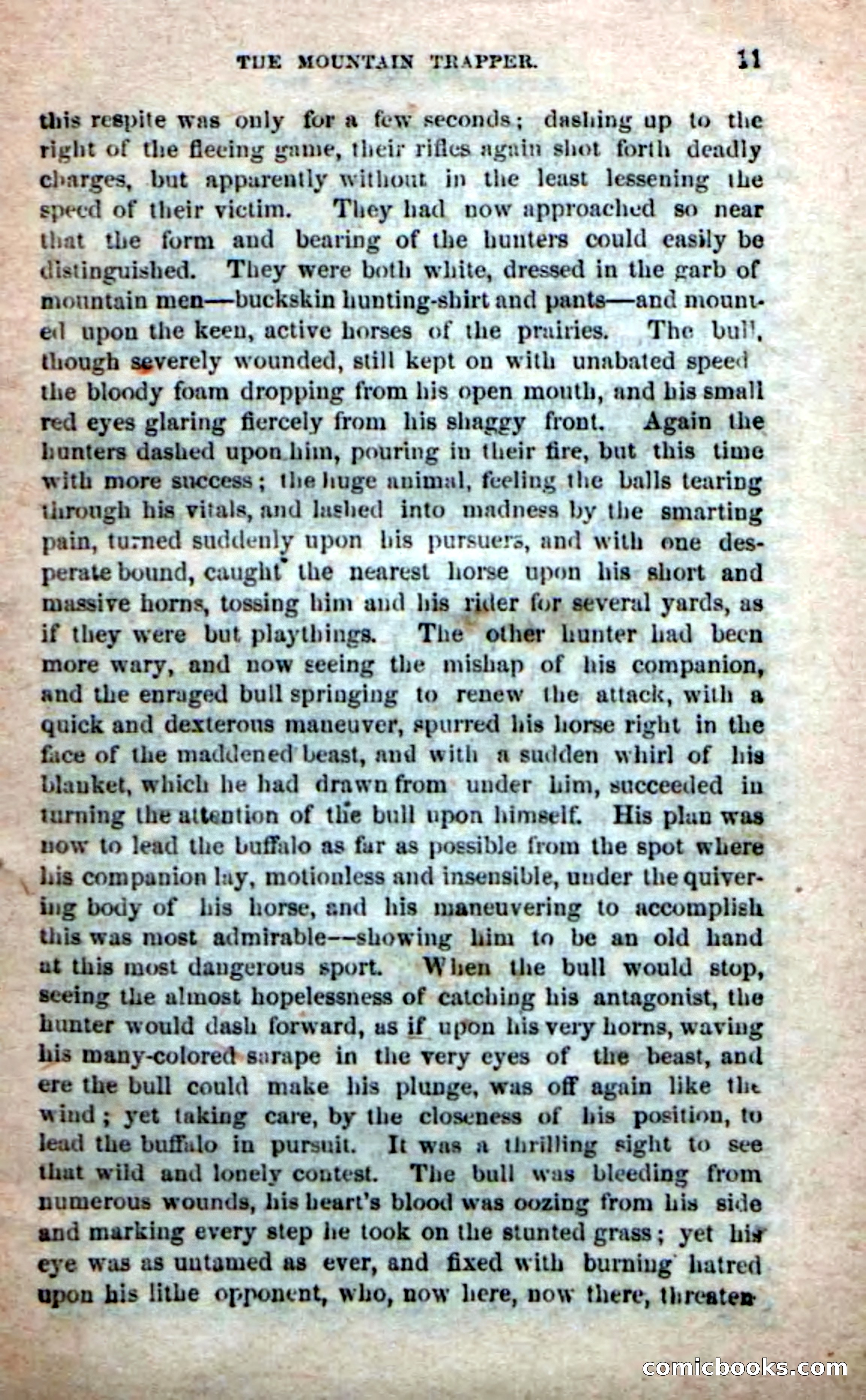 Old Sib Cone — page 5 of 100