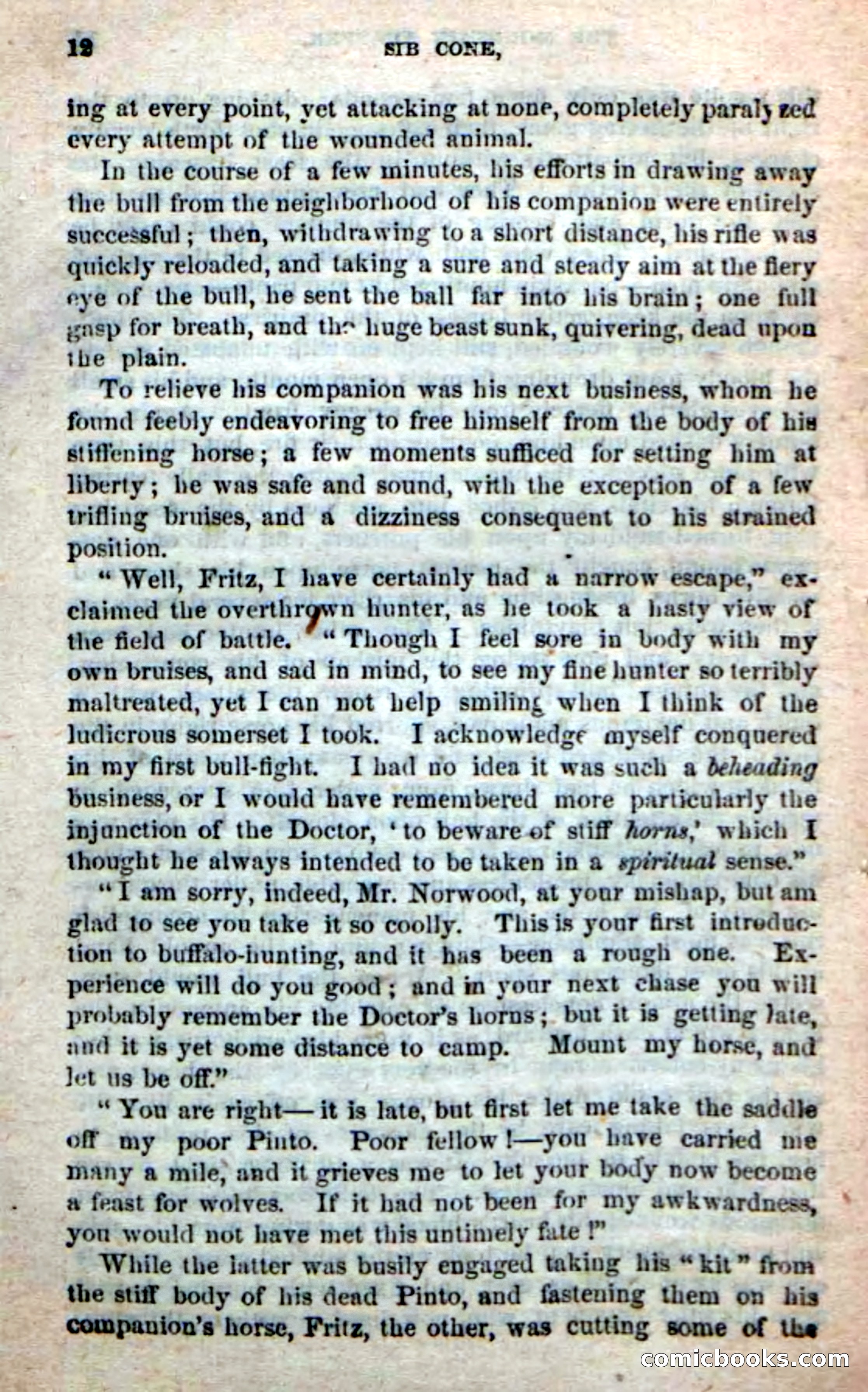 Old Sib Cone — page 6 of 100