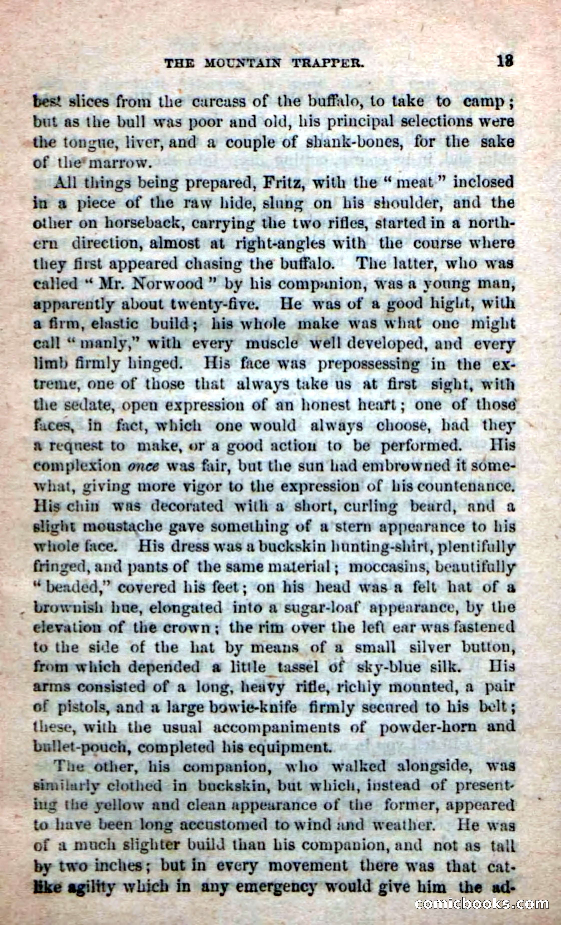 Old Sib Cone — page 7 of 100
