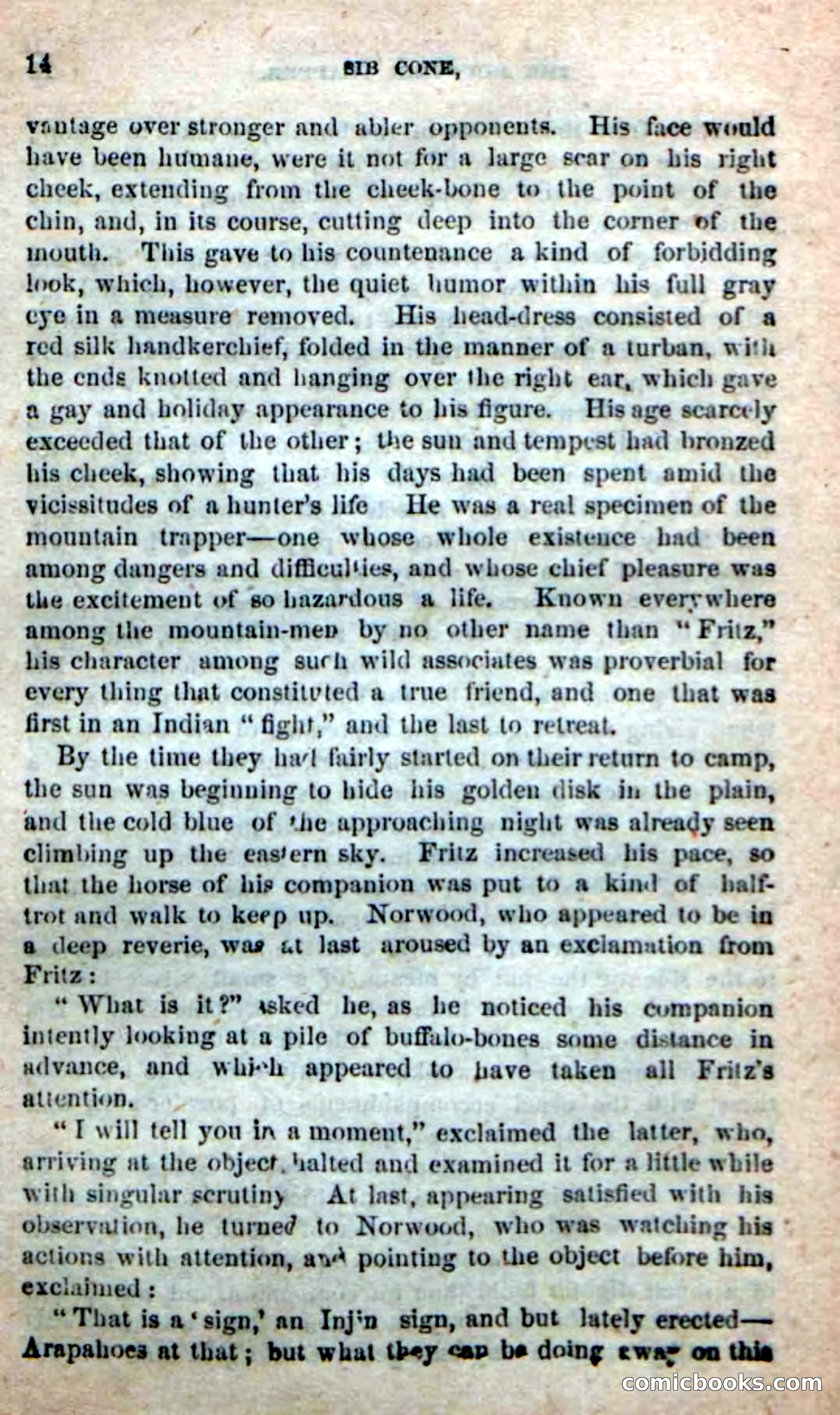 Old Sib Cone — page 8 of 100