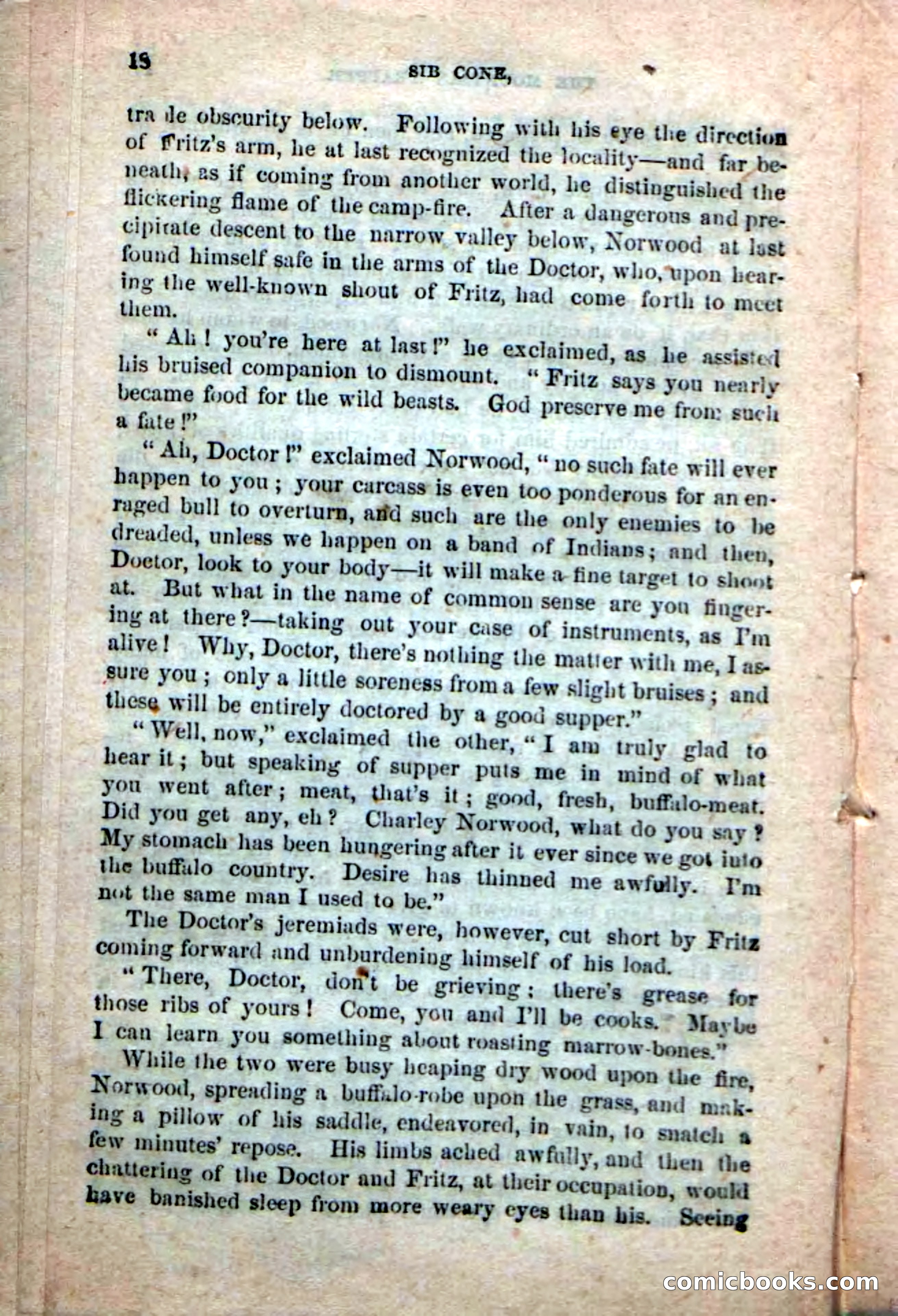 Old Sib Cone — page 12 of 100