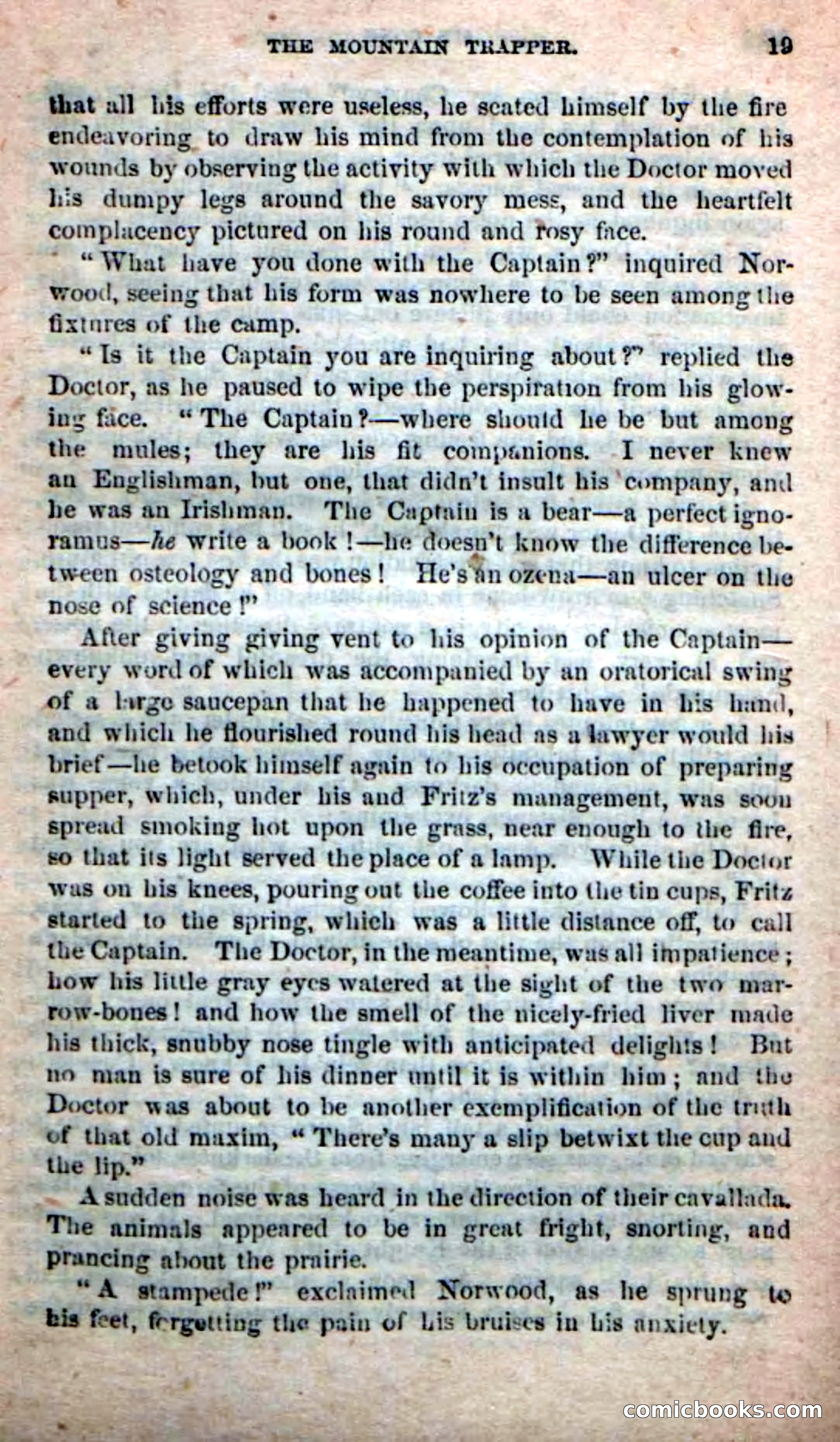 Old Sib Cone — page 13 of 100