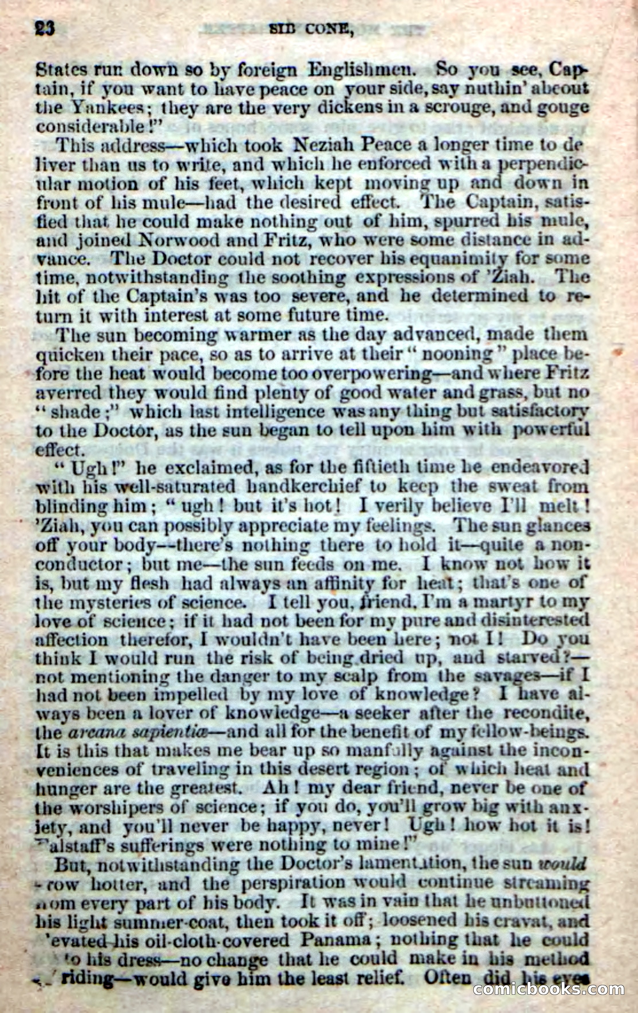 Old Sib Cone — page 20 of 100