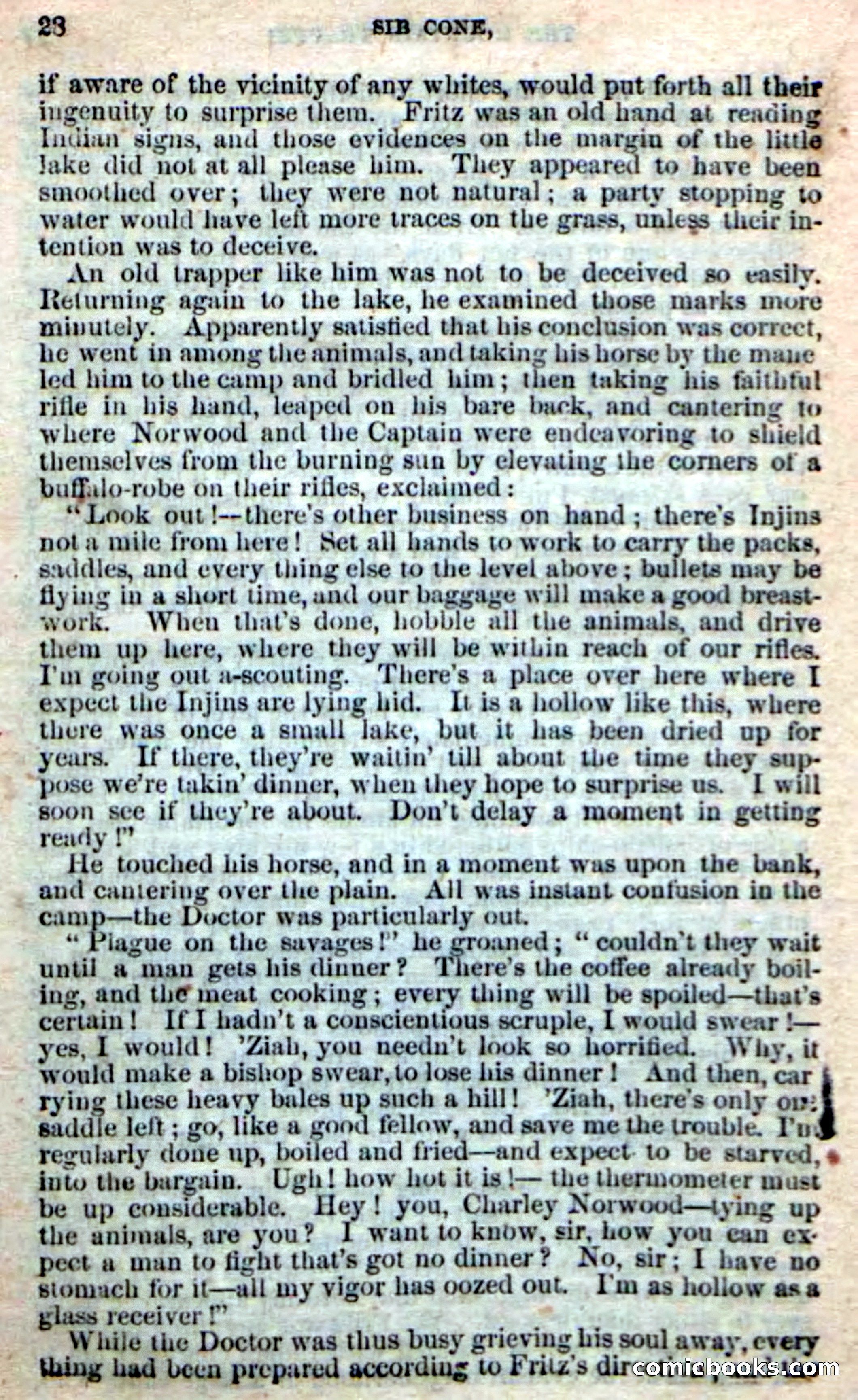 Old Sib Cone — page 22 of 100