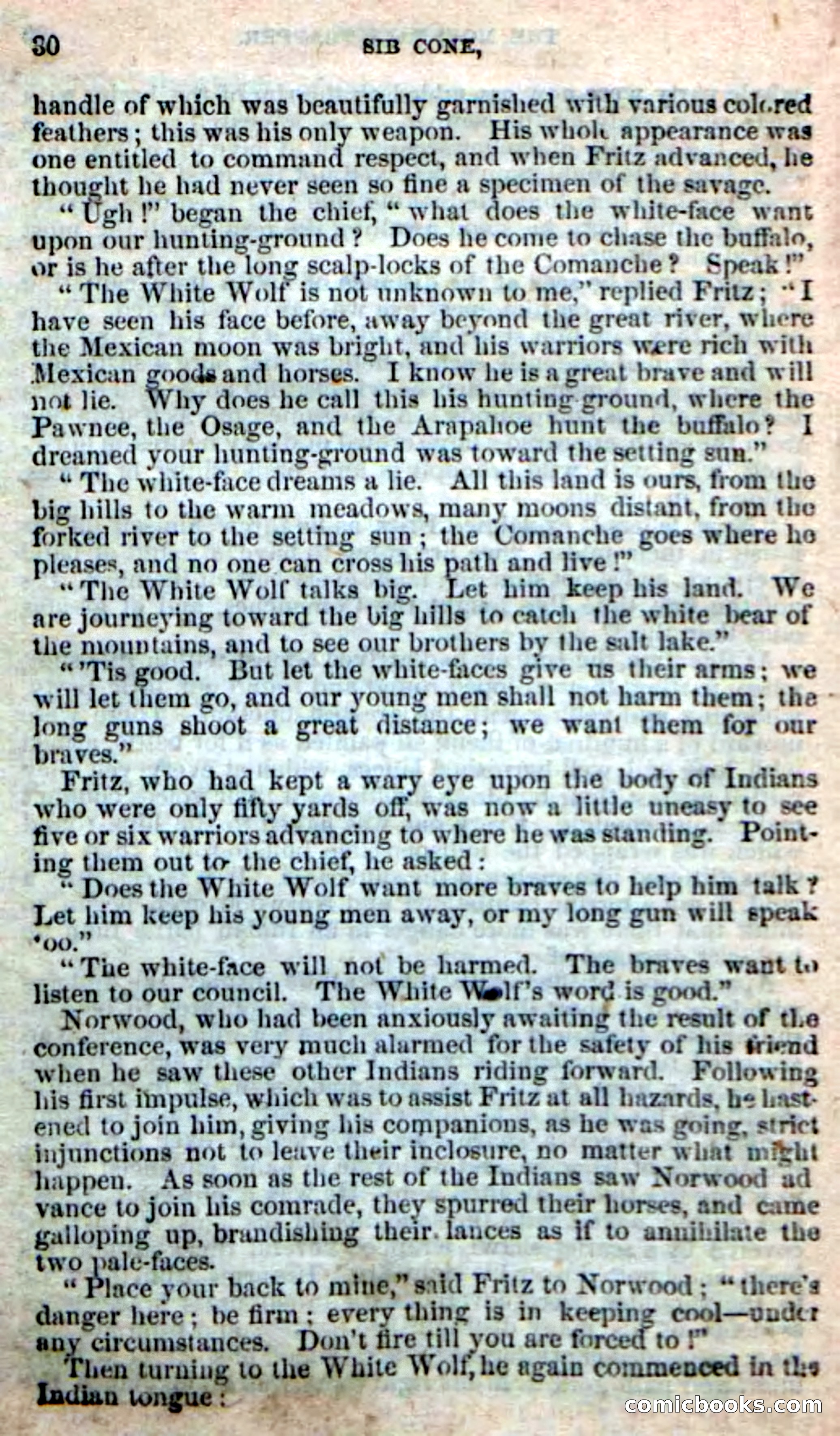 Old Sib Cone — page 24 of 100