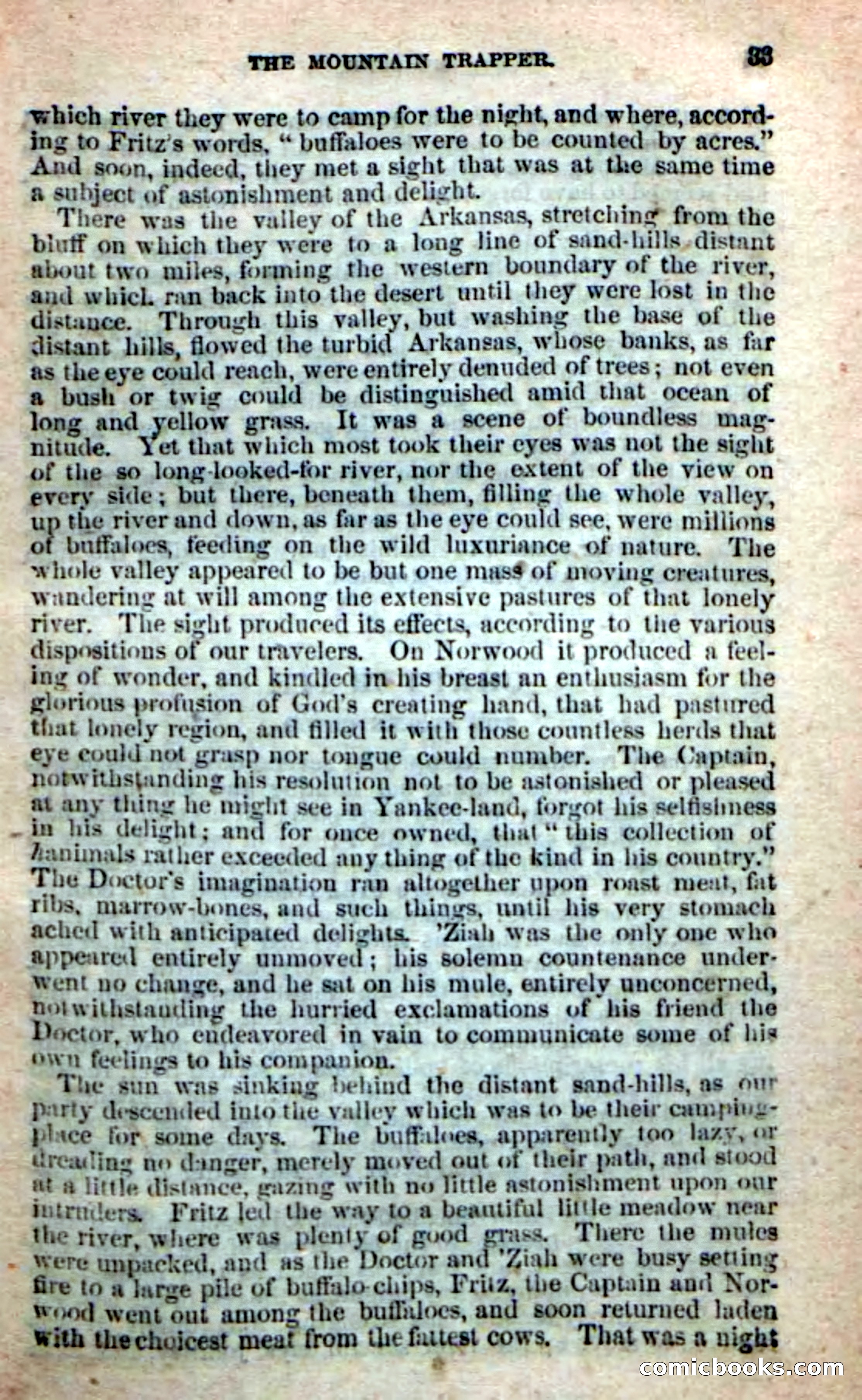 Old Sib Cone — page 27 of 100