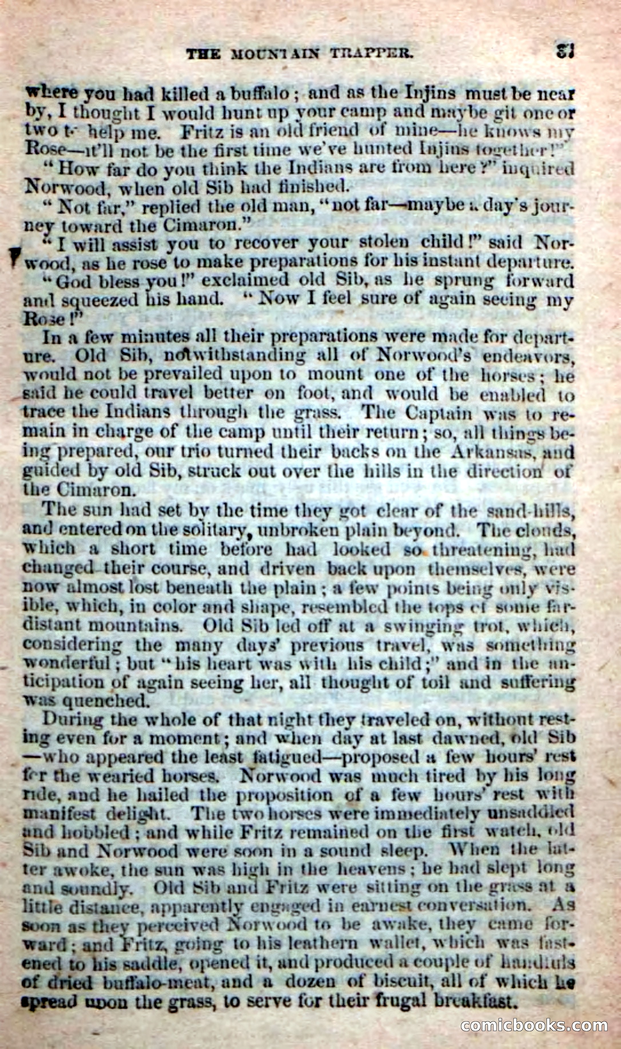 Old Sib Cone — page 31 of 100