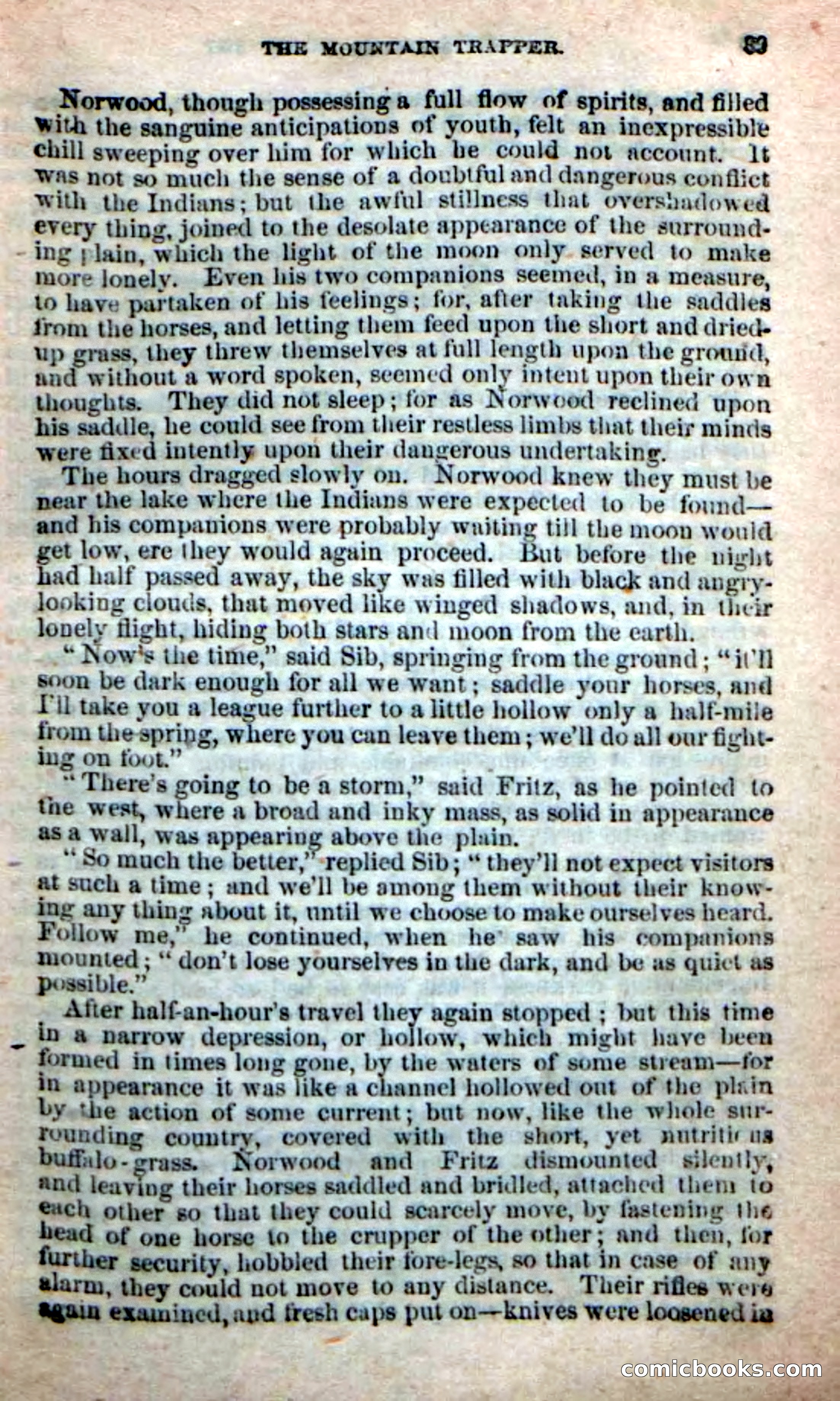 Old Sib Cone — page 33 of 100