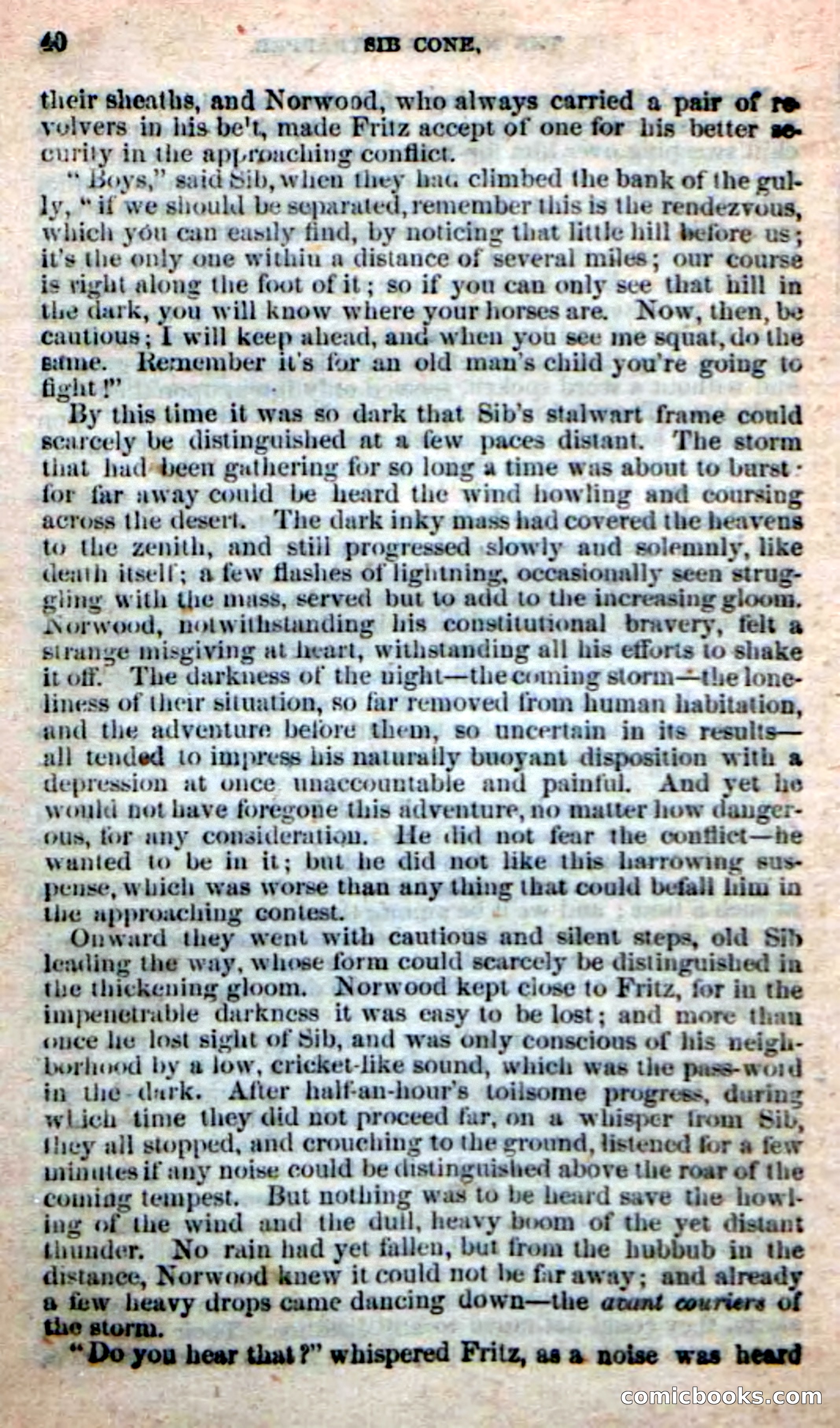 Old Sib Cone — page 34 of 100