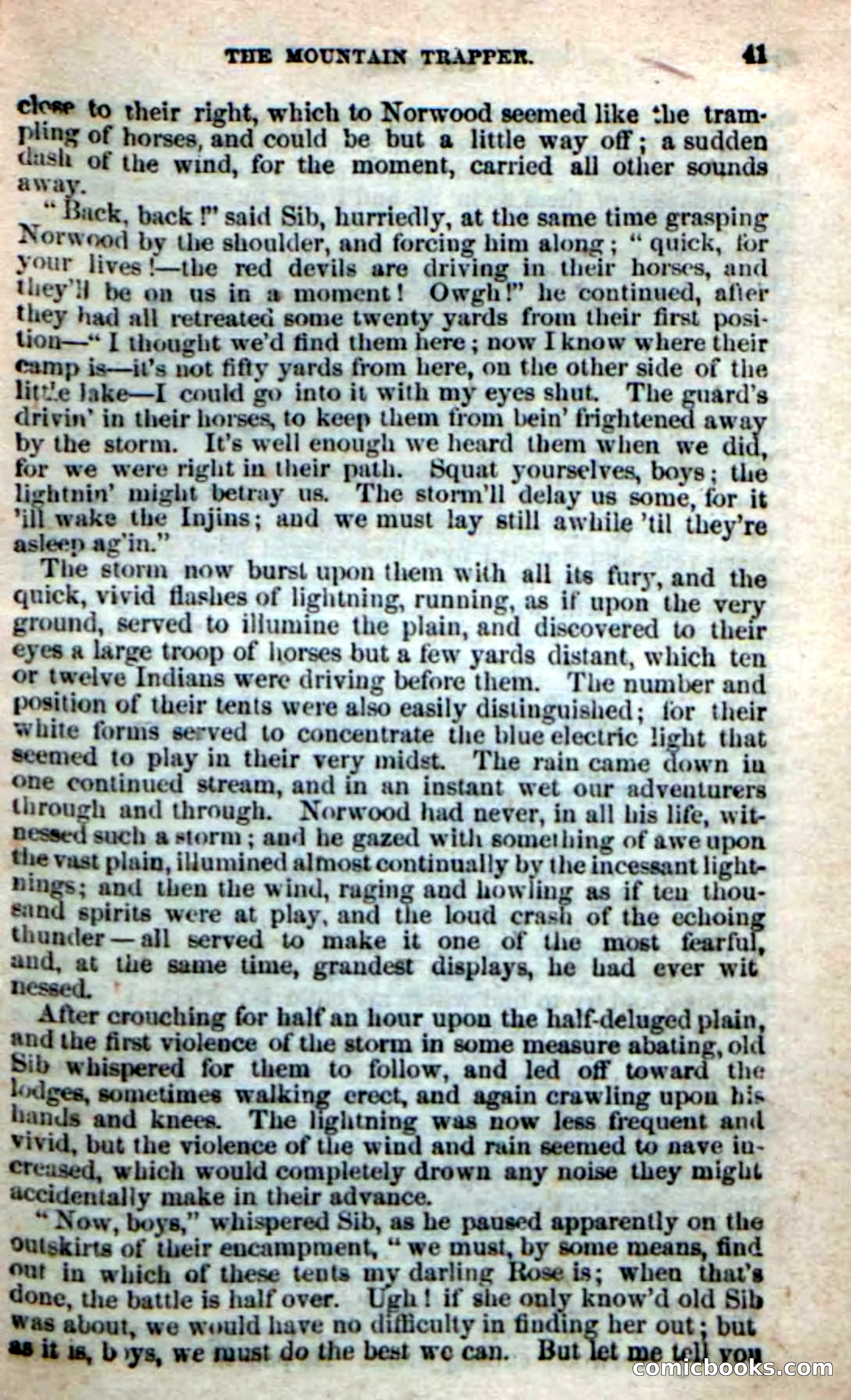 Old Sib Cone — page 35 of 100