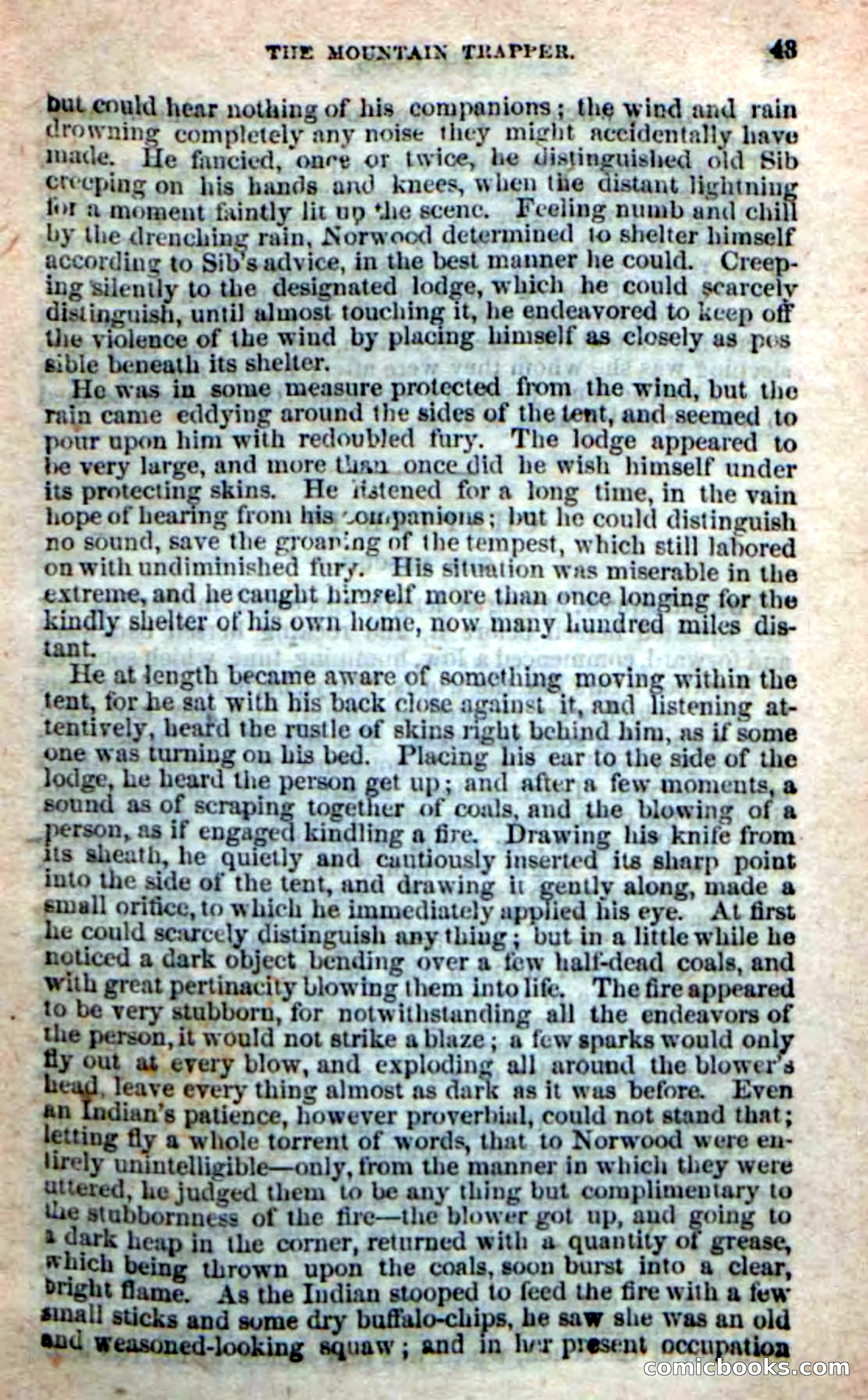 Old Sib Cone — page 37 of 100
