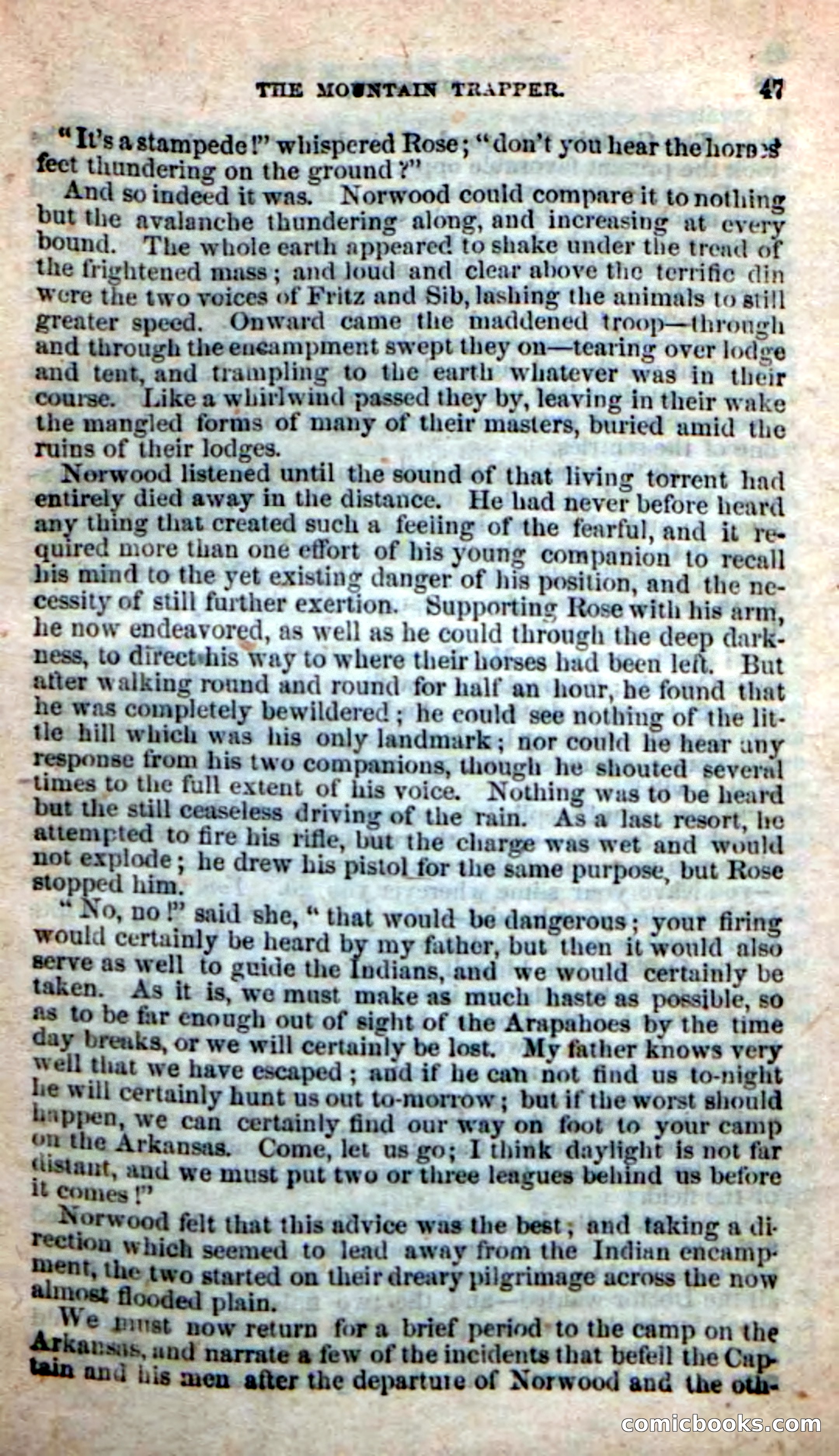 Old Sib Cone — page 41 of 100