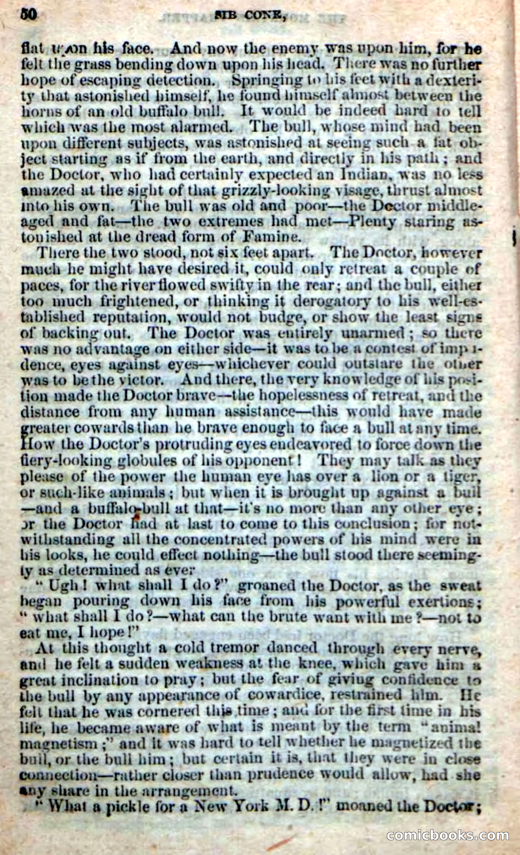 Old Sib Cone — page 44 of 100