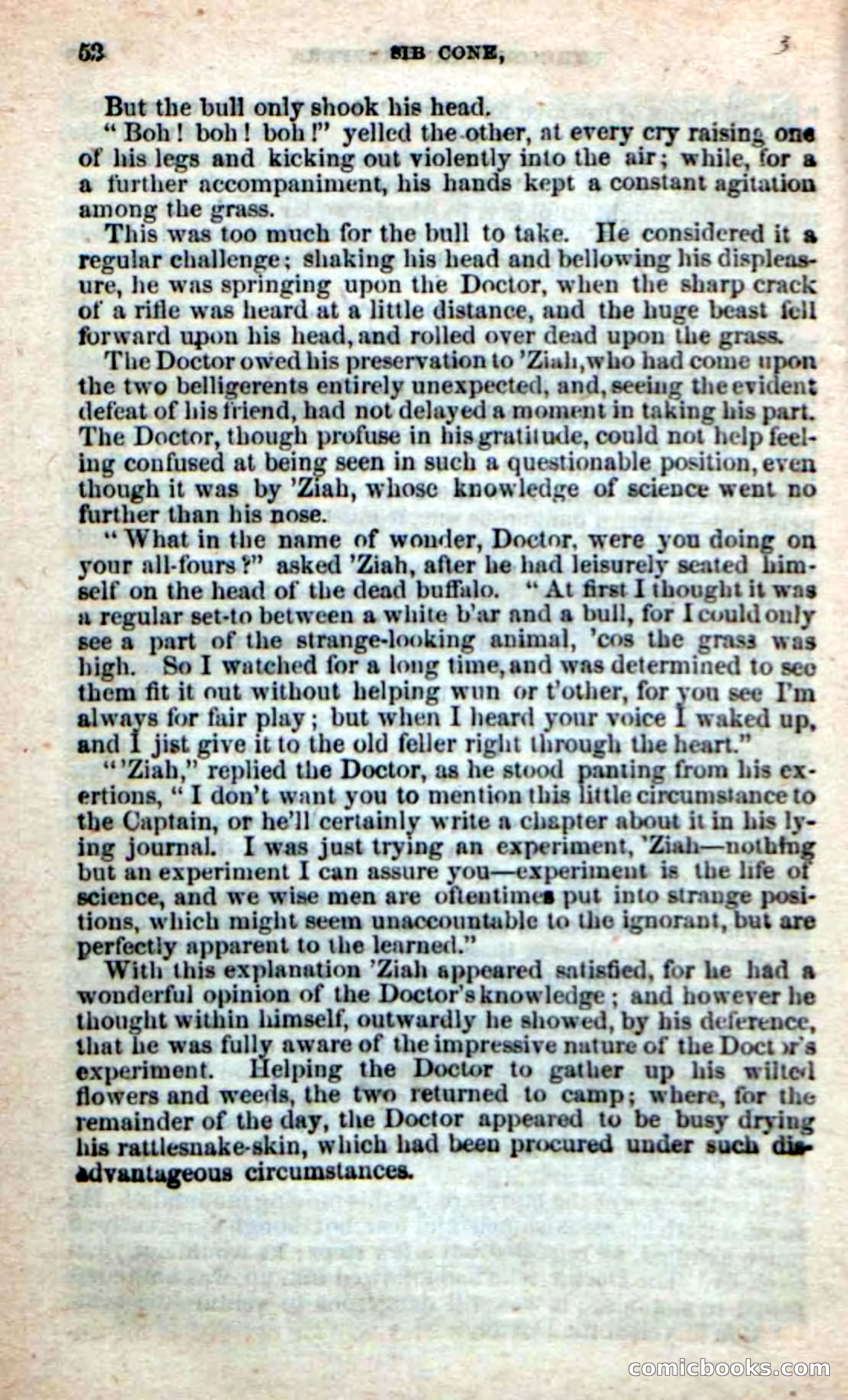 Old Sib Cone — page 46 of 100