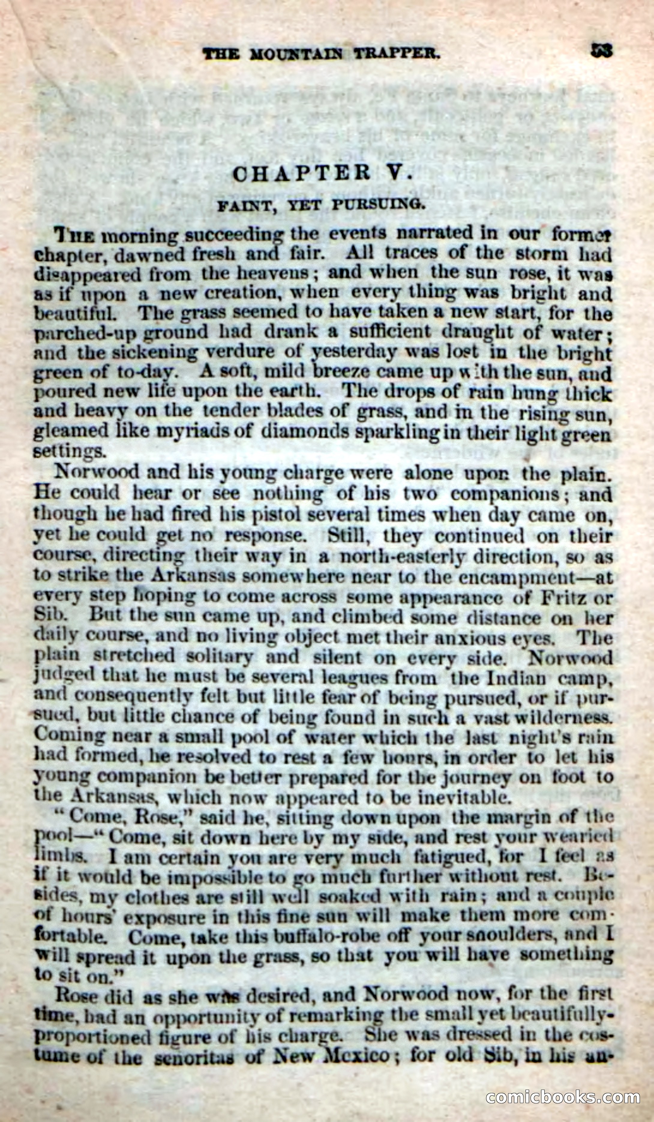 Old Sib Cone — page 47 of 100