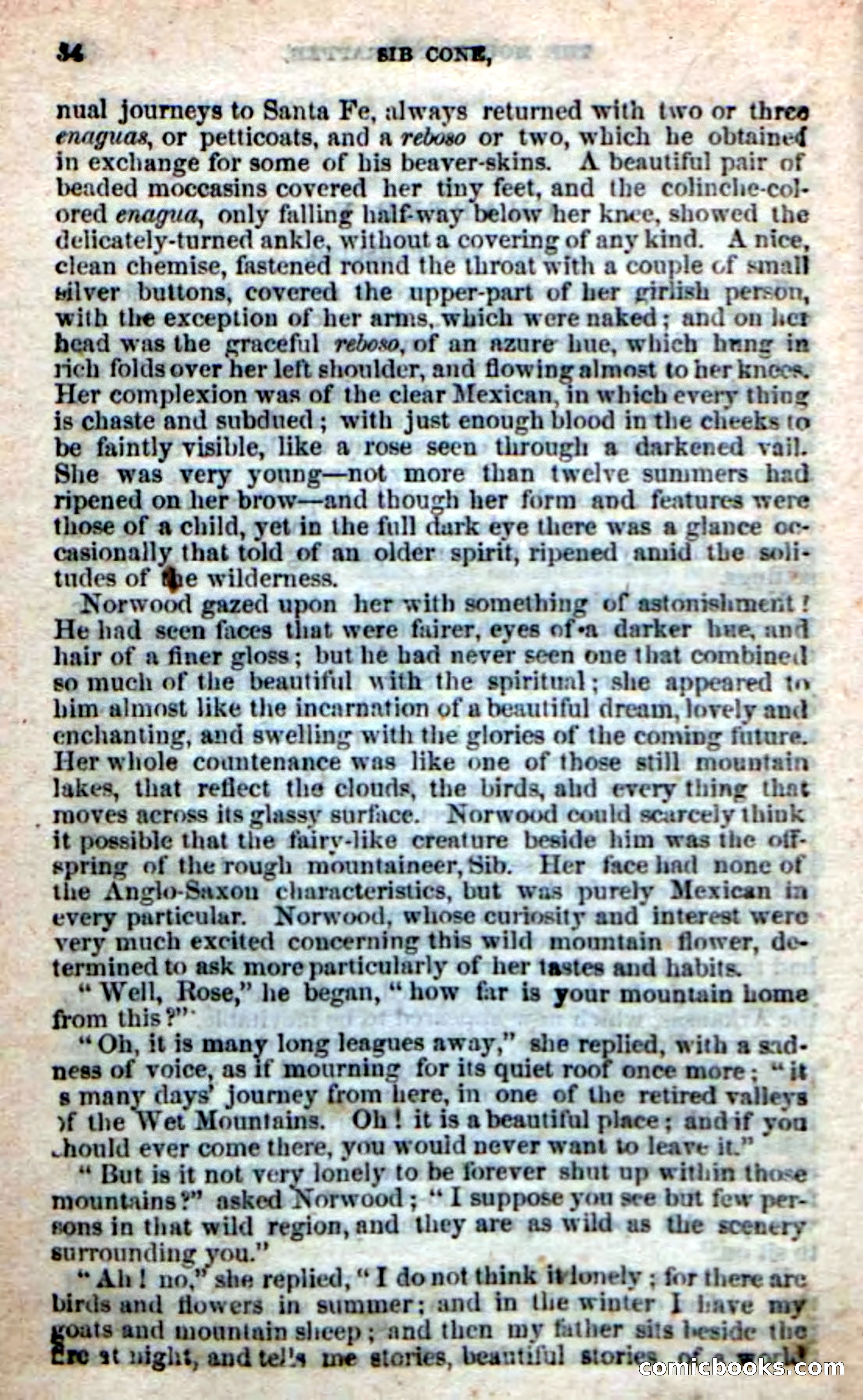 Old Sib Cone — page 48 of 100