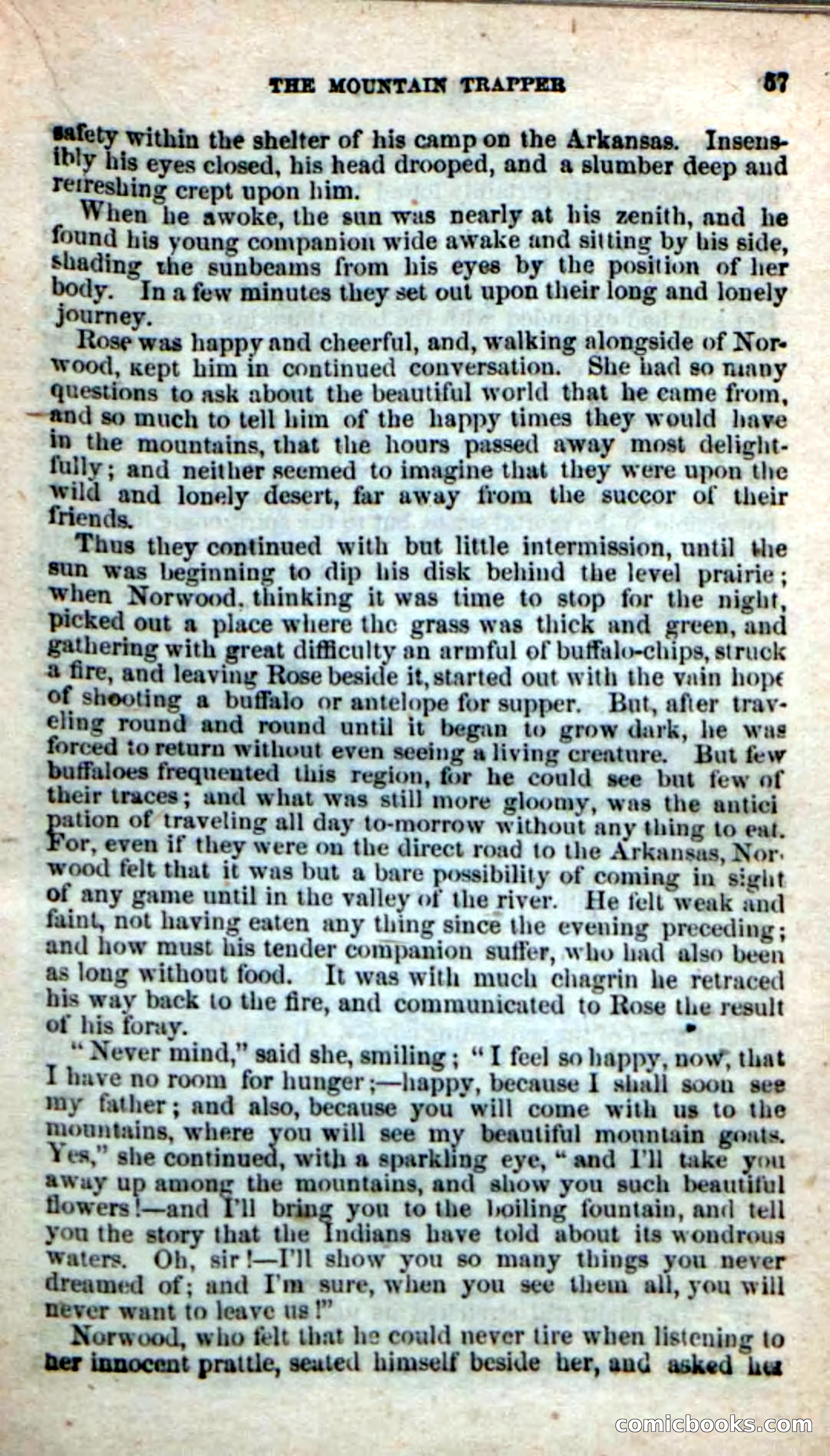 Old Sib Cone — page 51 of 100
