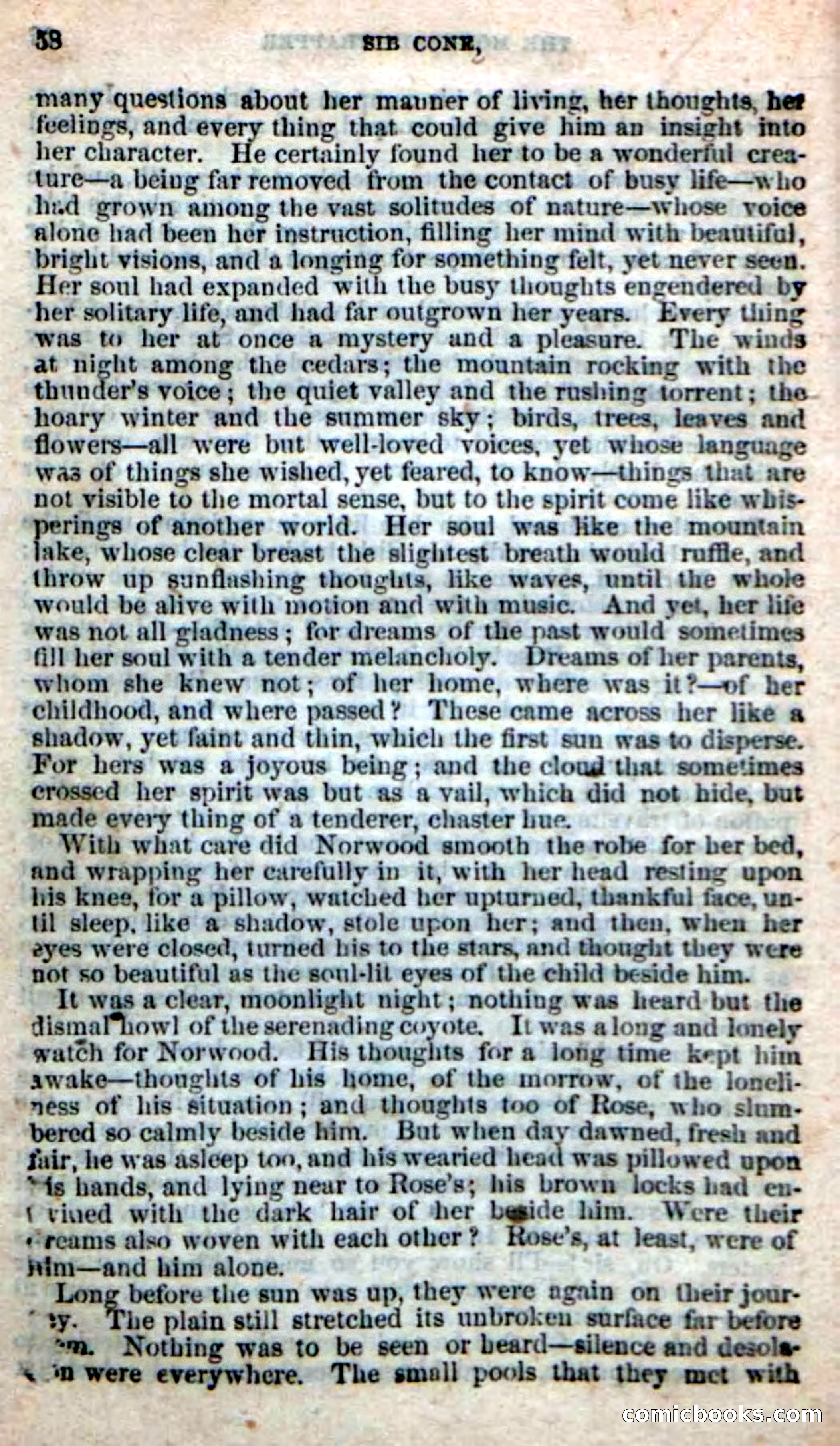 Old Sib Cone — page 52 of 100