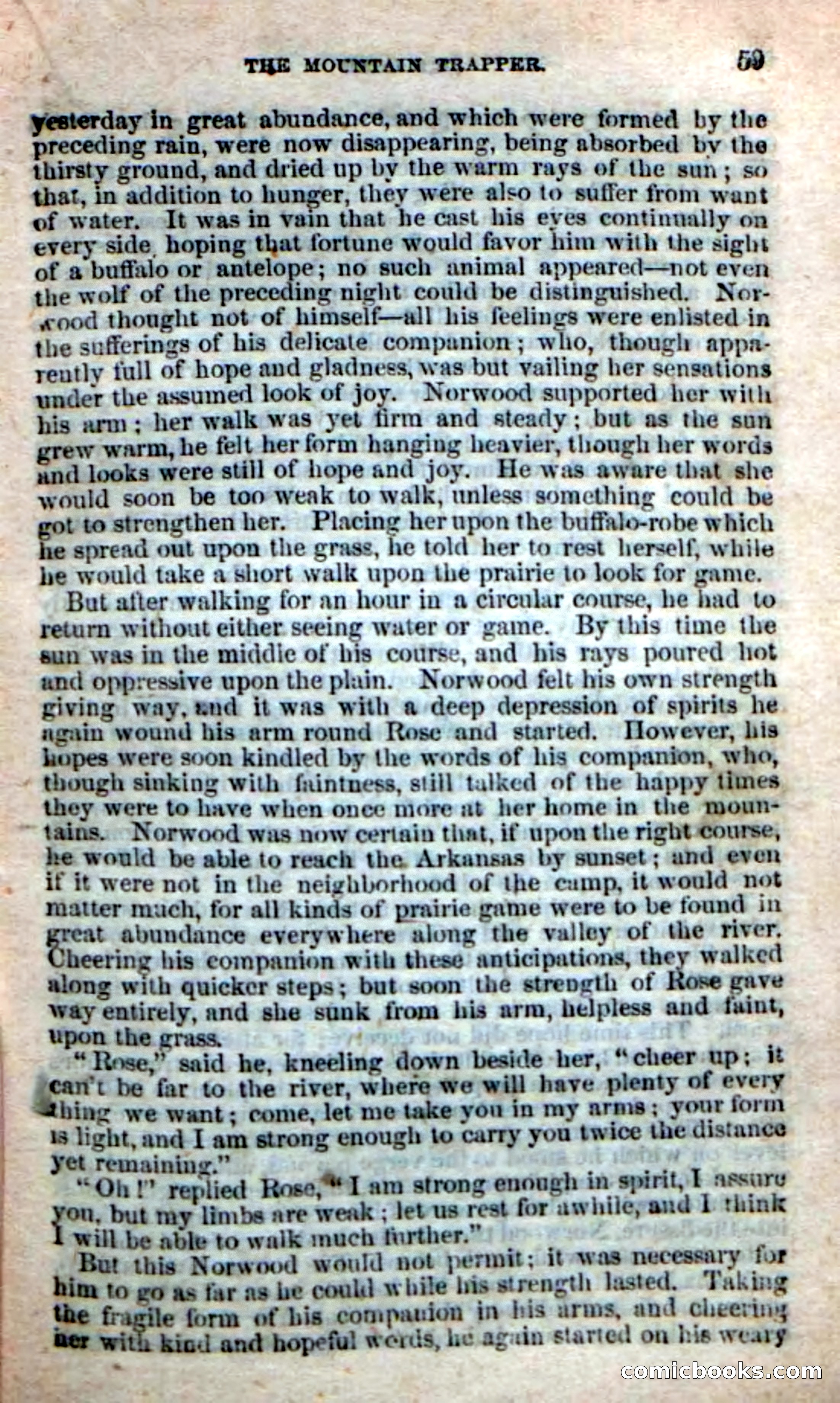 Old Sib Cone — page 53 of 100