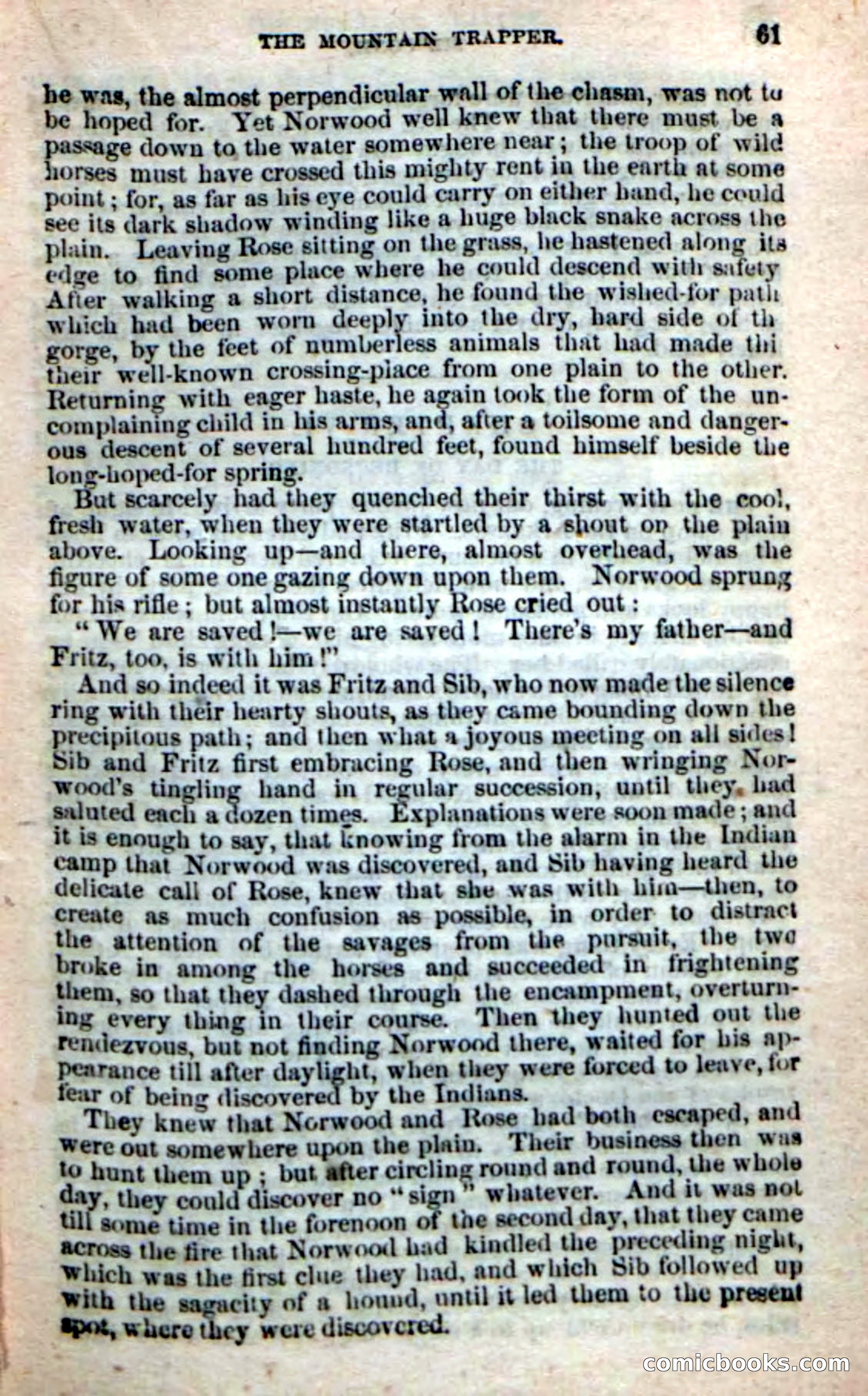 Old Sib Cone — page 55 of 100