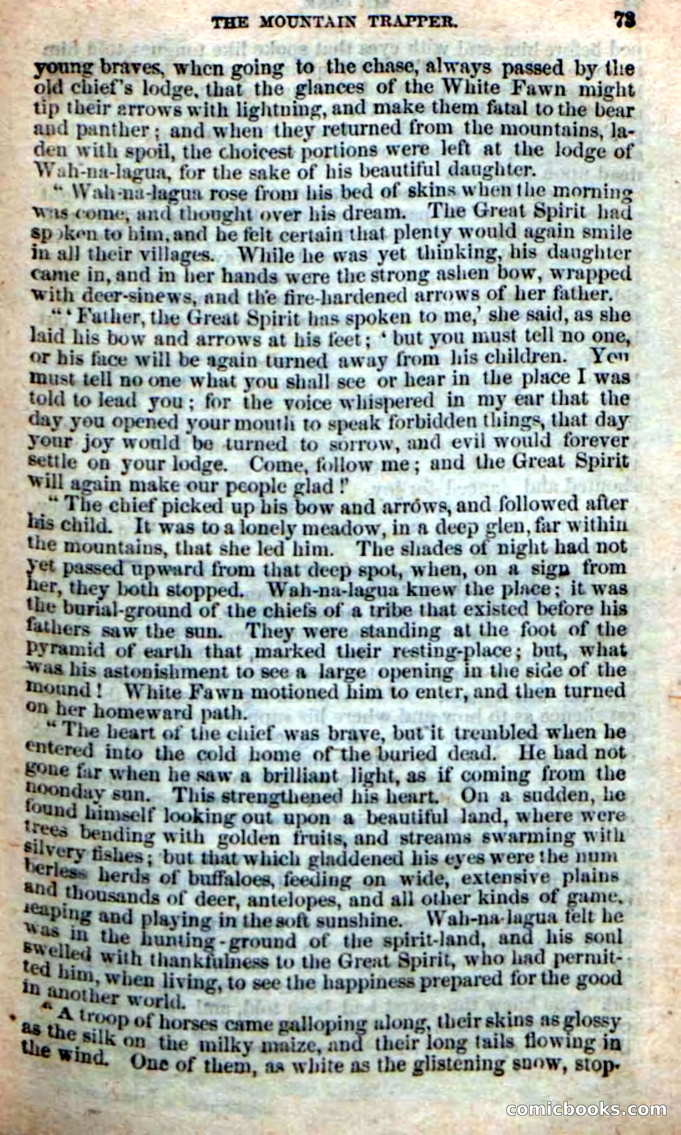 Old Sib Cone — page 67 of 100