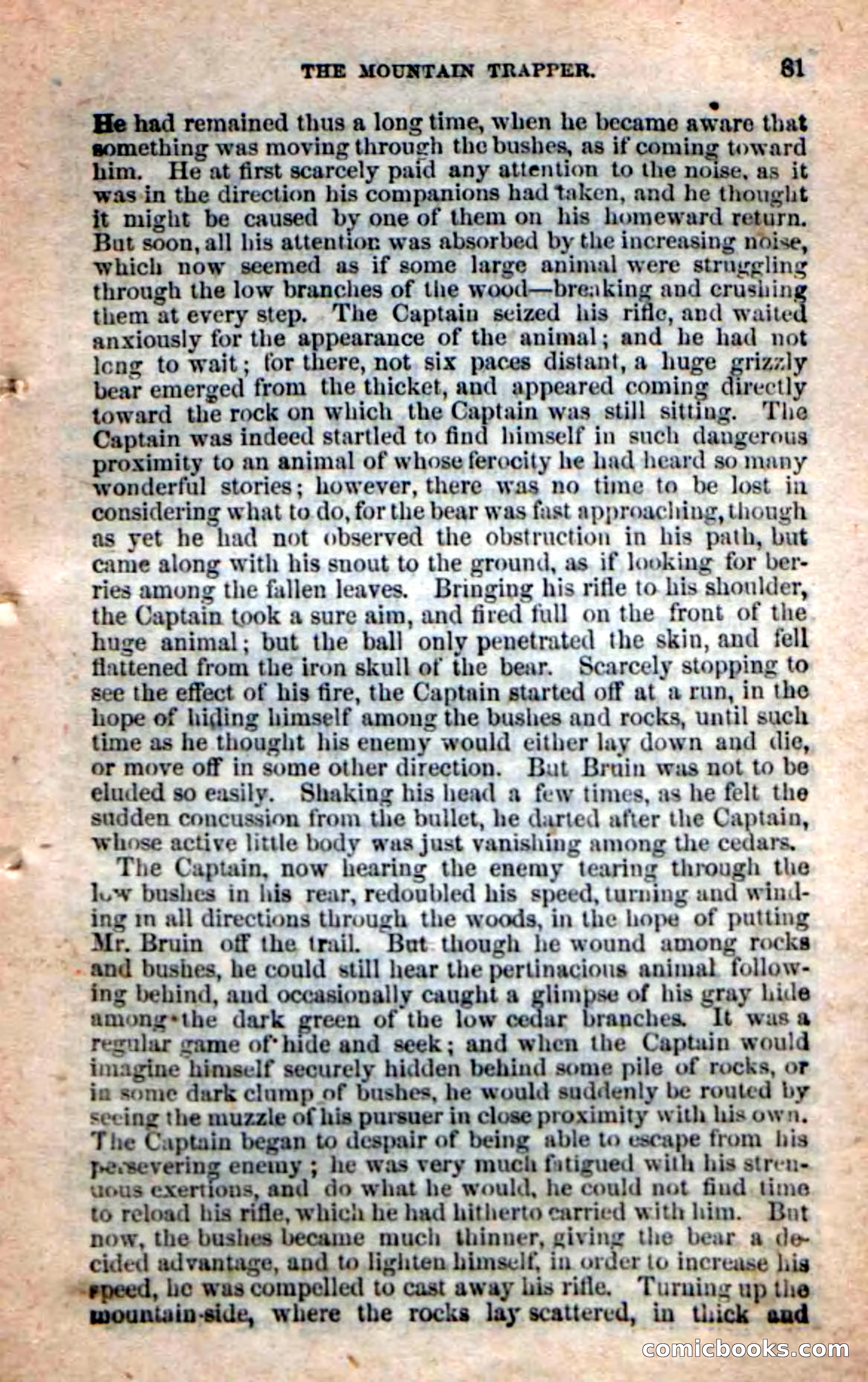Old Sib Cone — page 75 of 100