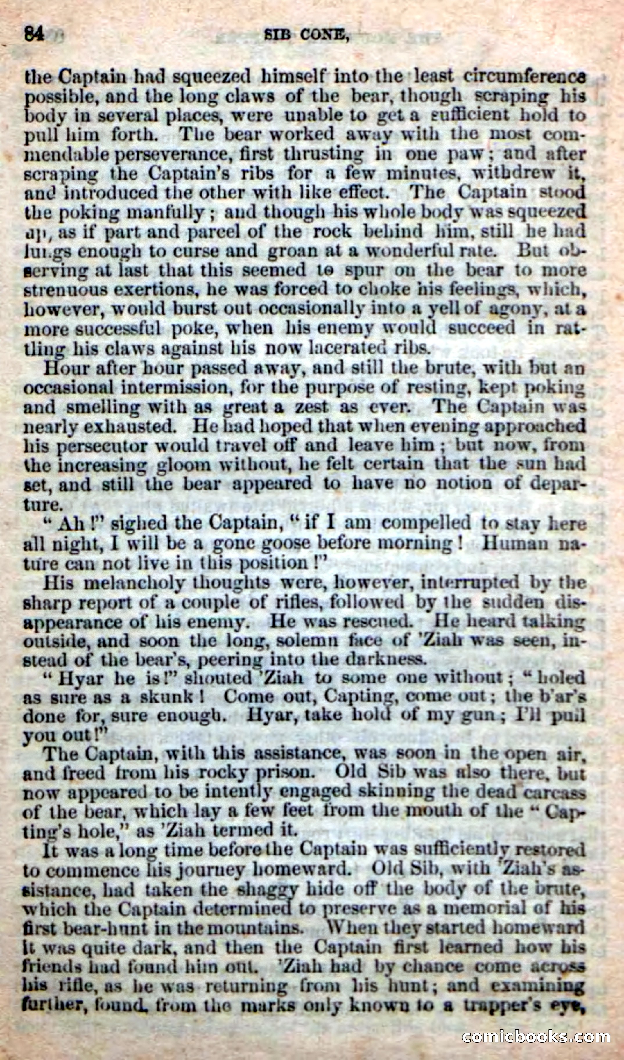Old Sib Cone — page 78 of 100