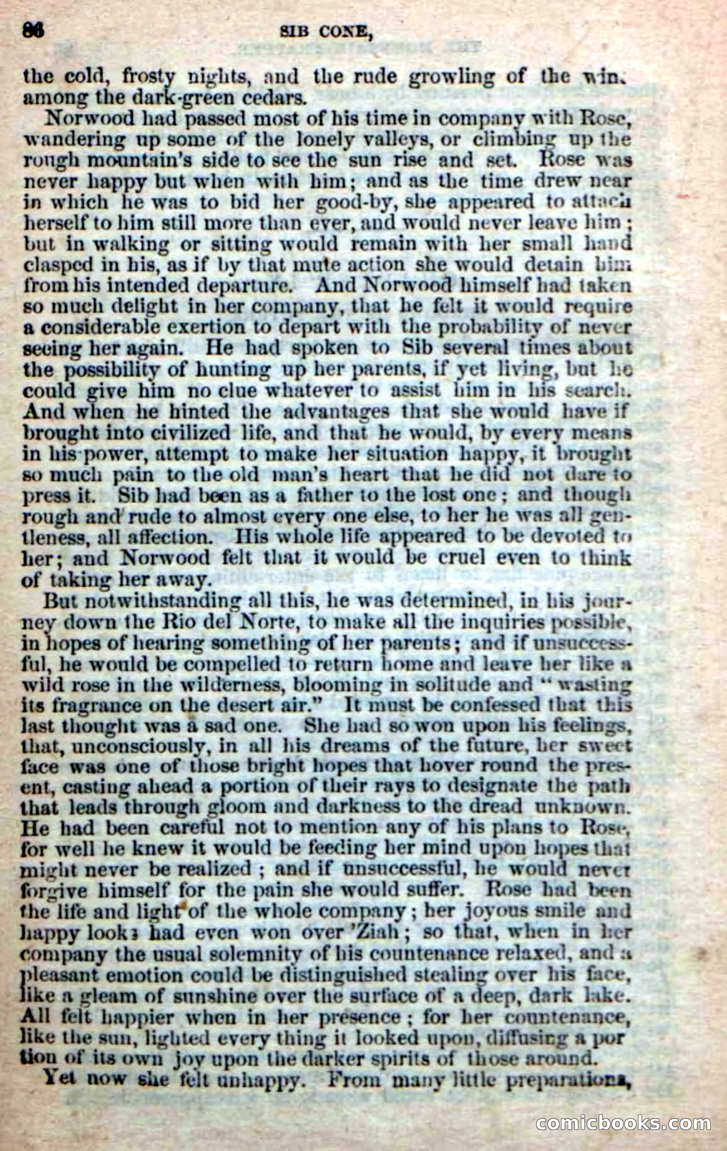 Old Sib Cone — page 80 of 100