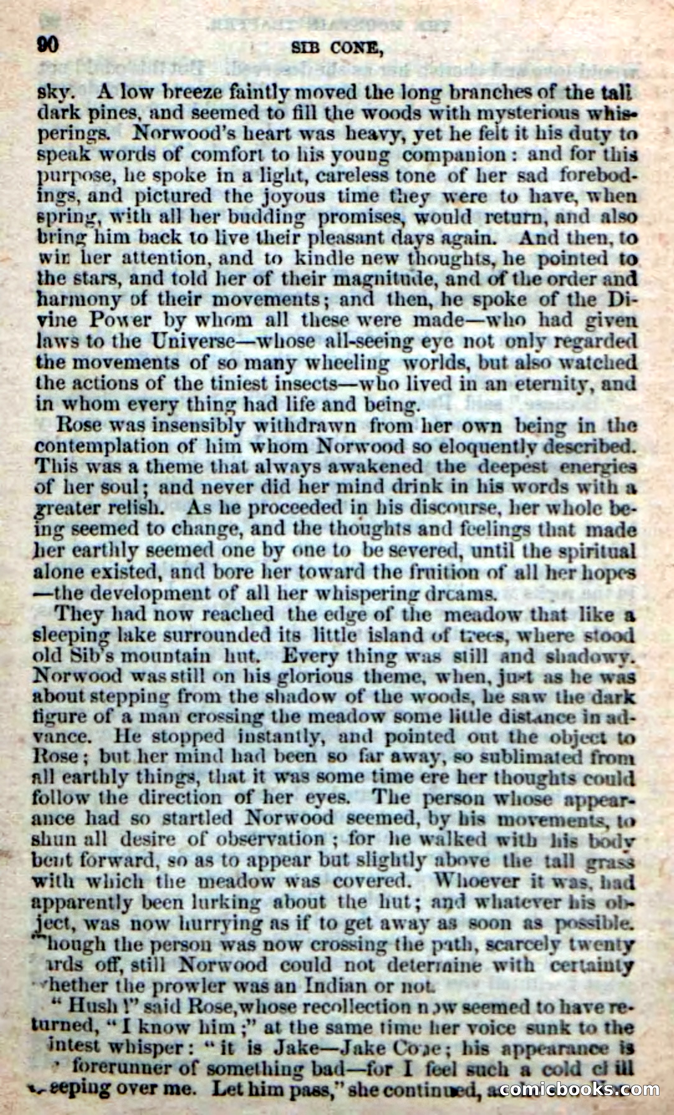 Old Sib Cone — page 84 of 100
