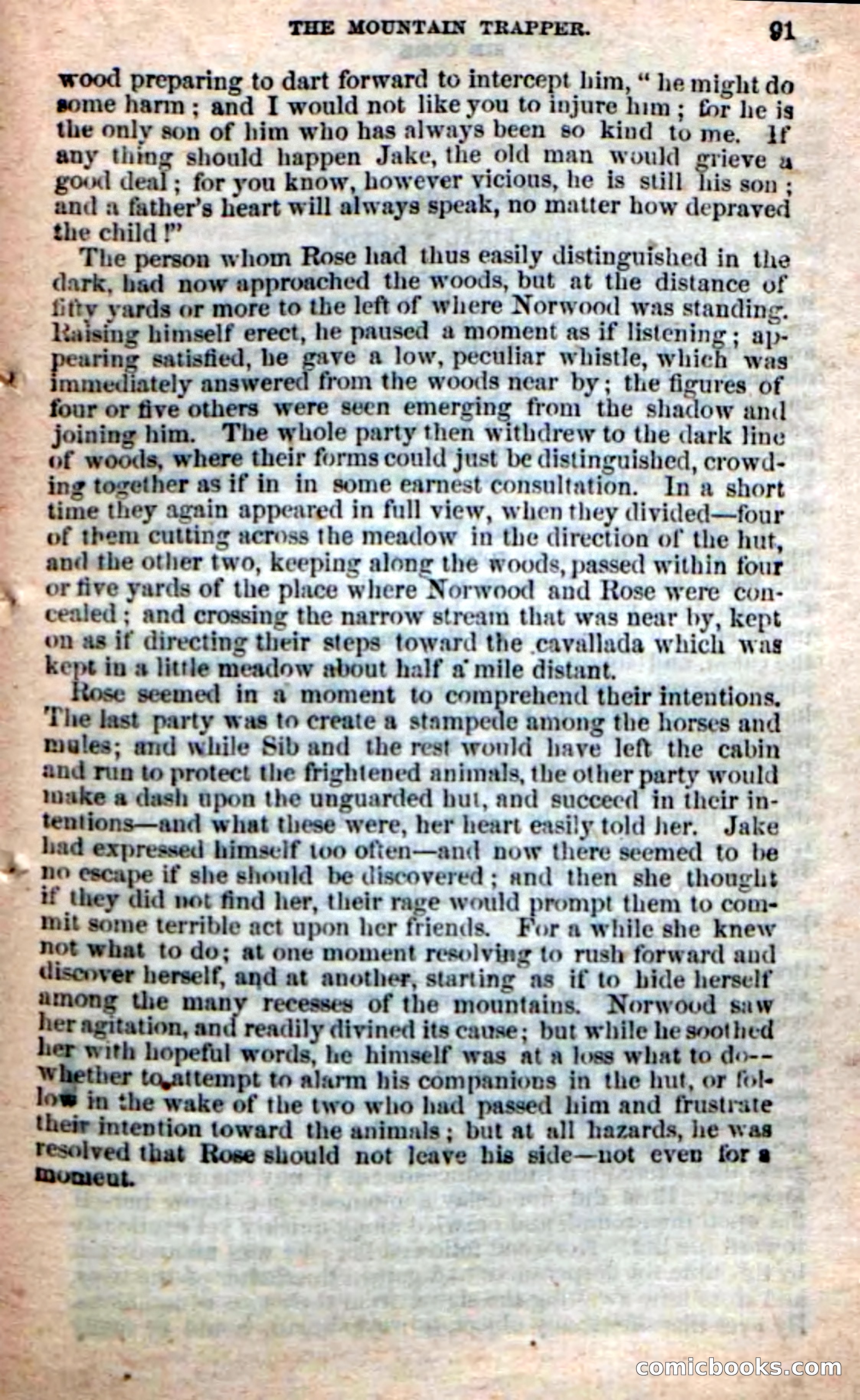 Old Sib Cone — page 85 of 100