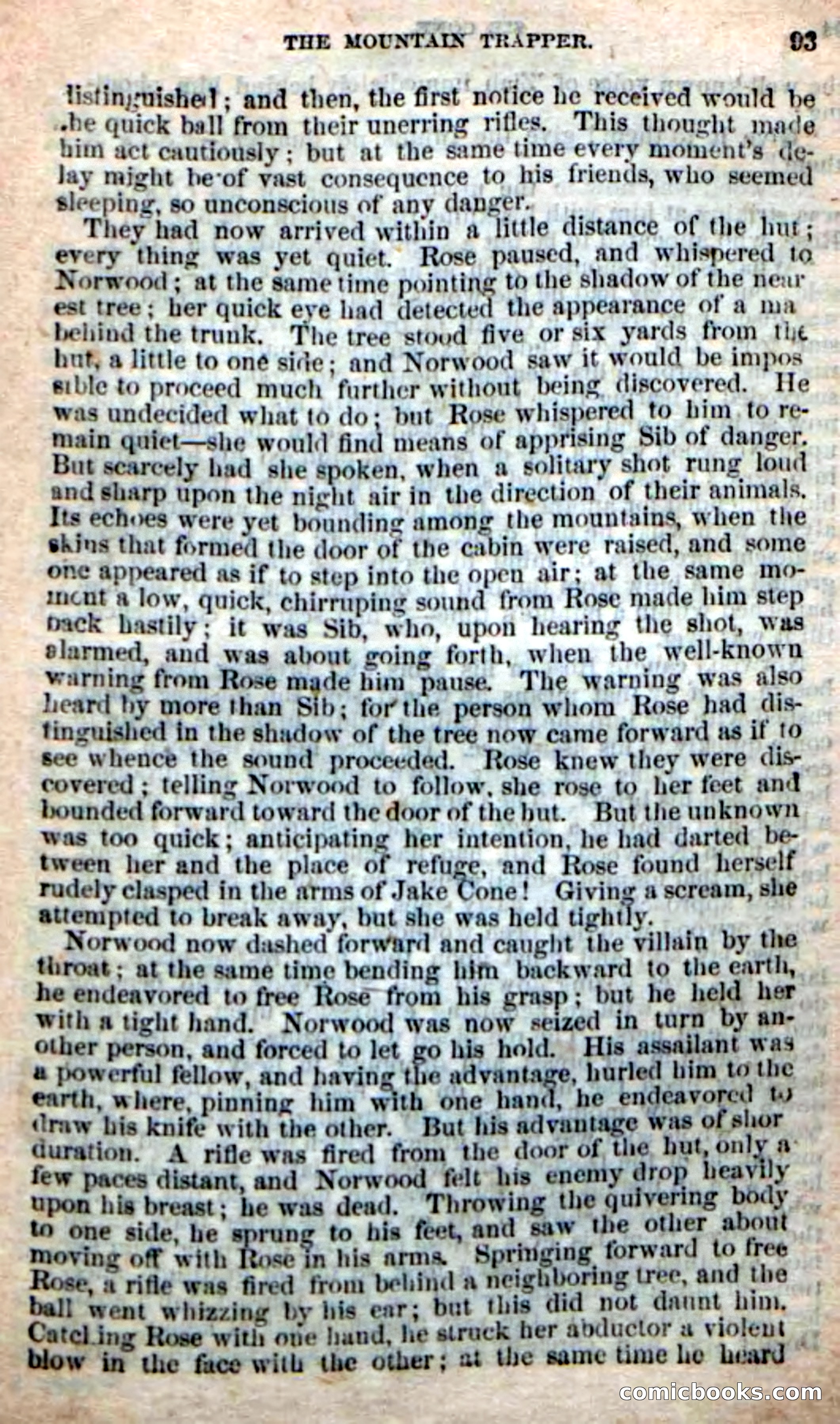 Old Sib Cone — page 87 of 100