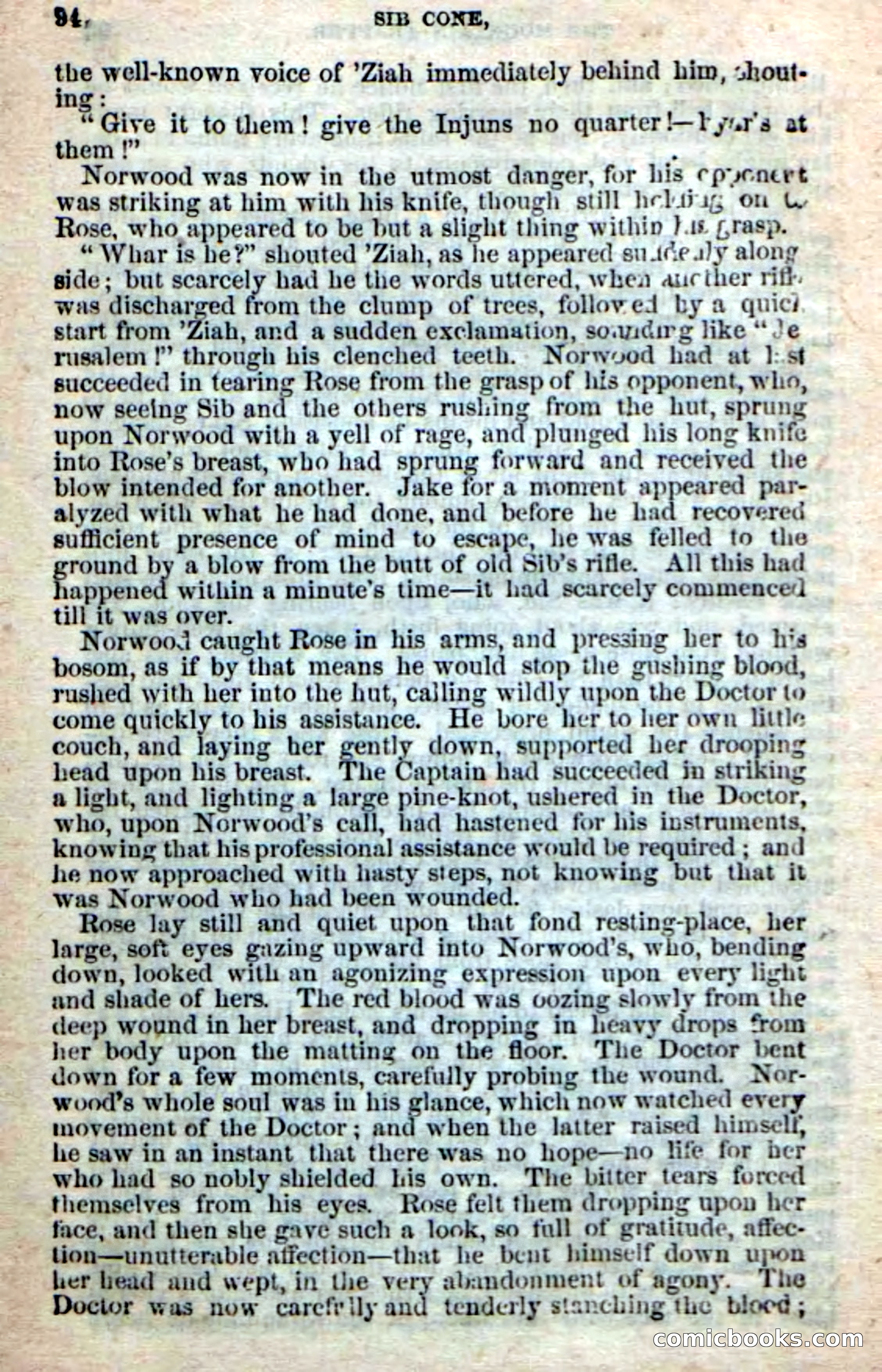 Old Sib Cone — page 88 of 100