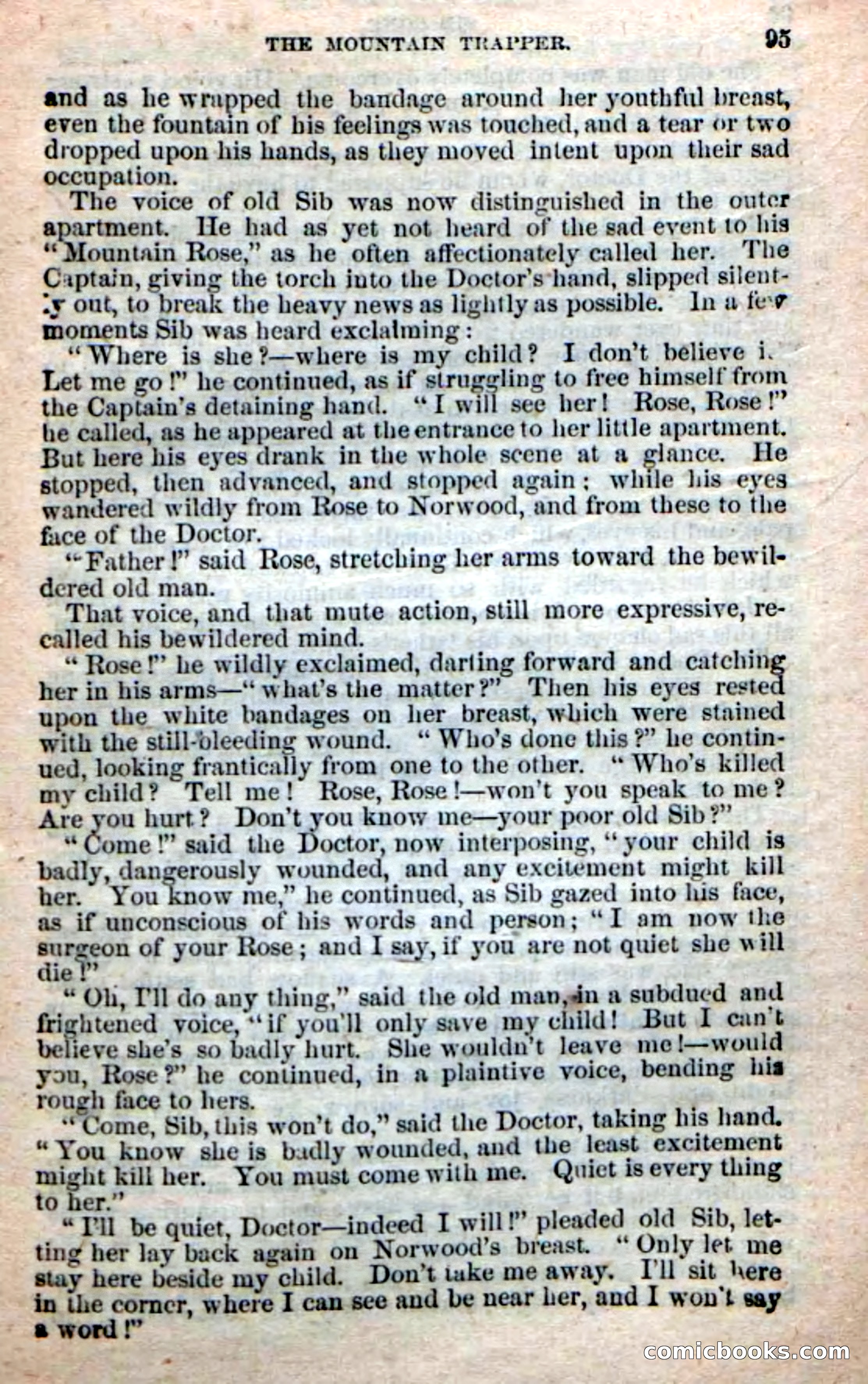 Old Sib Cone — page 89 of 100