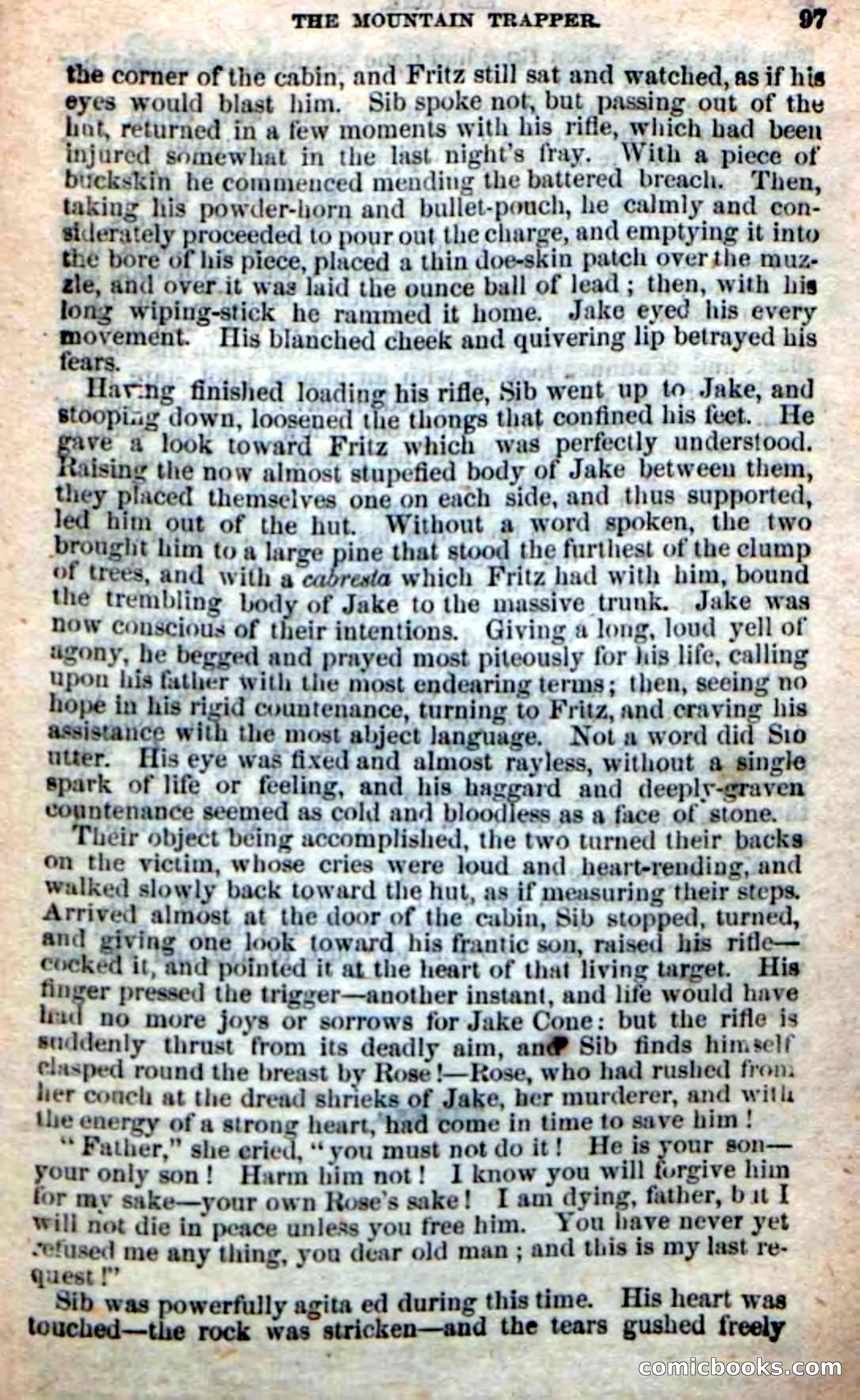 Old Sib Cone — page 91 of 100