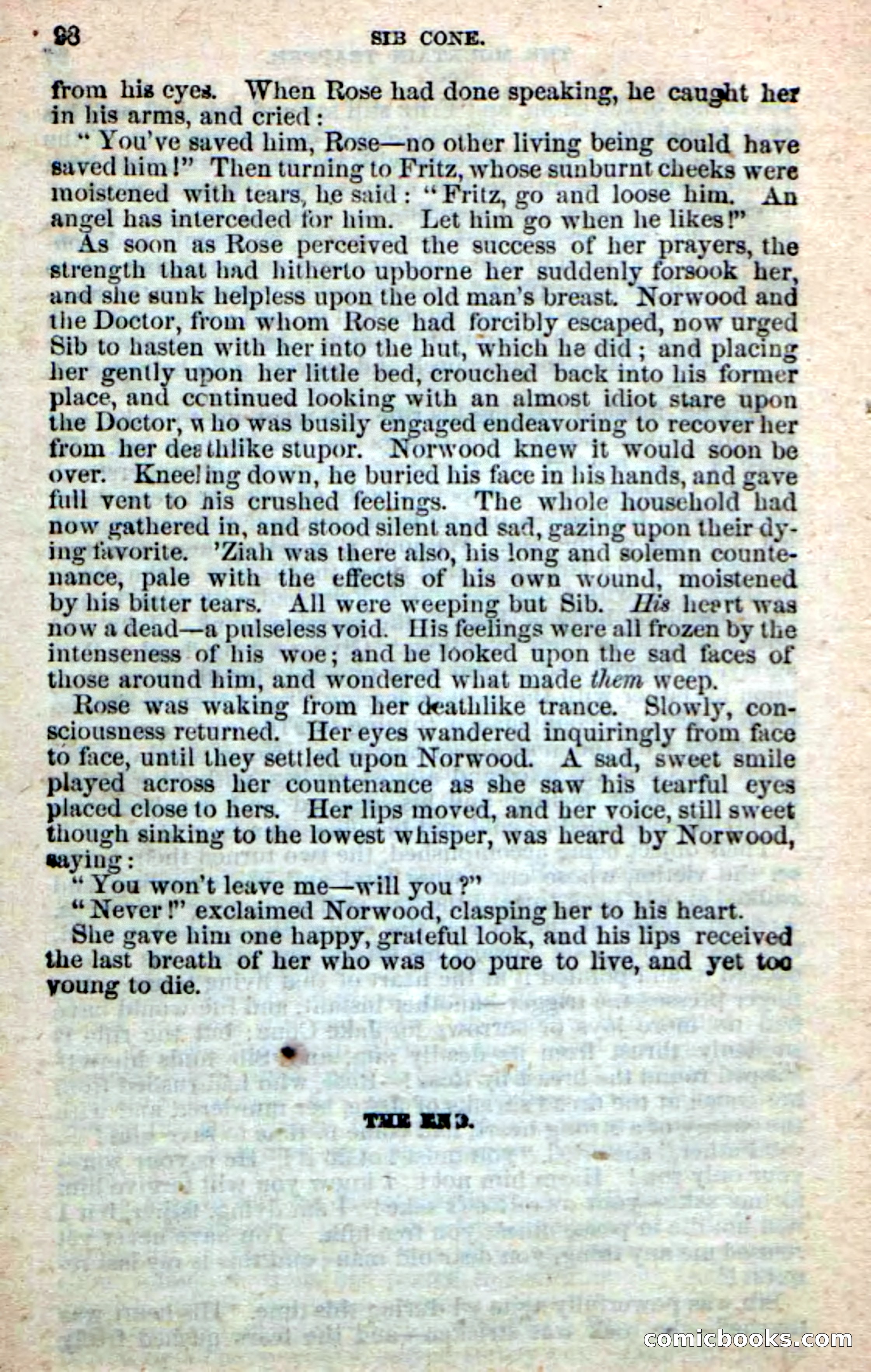 Old Sib Cone — page 92 of 100