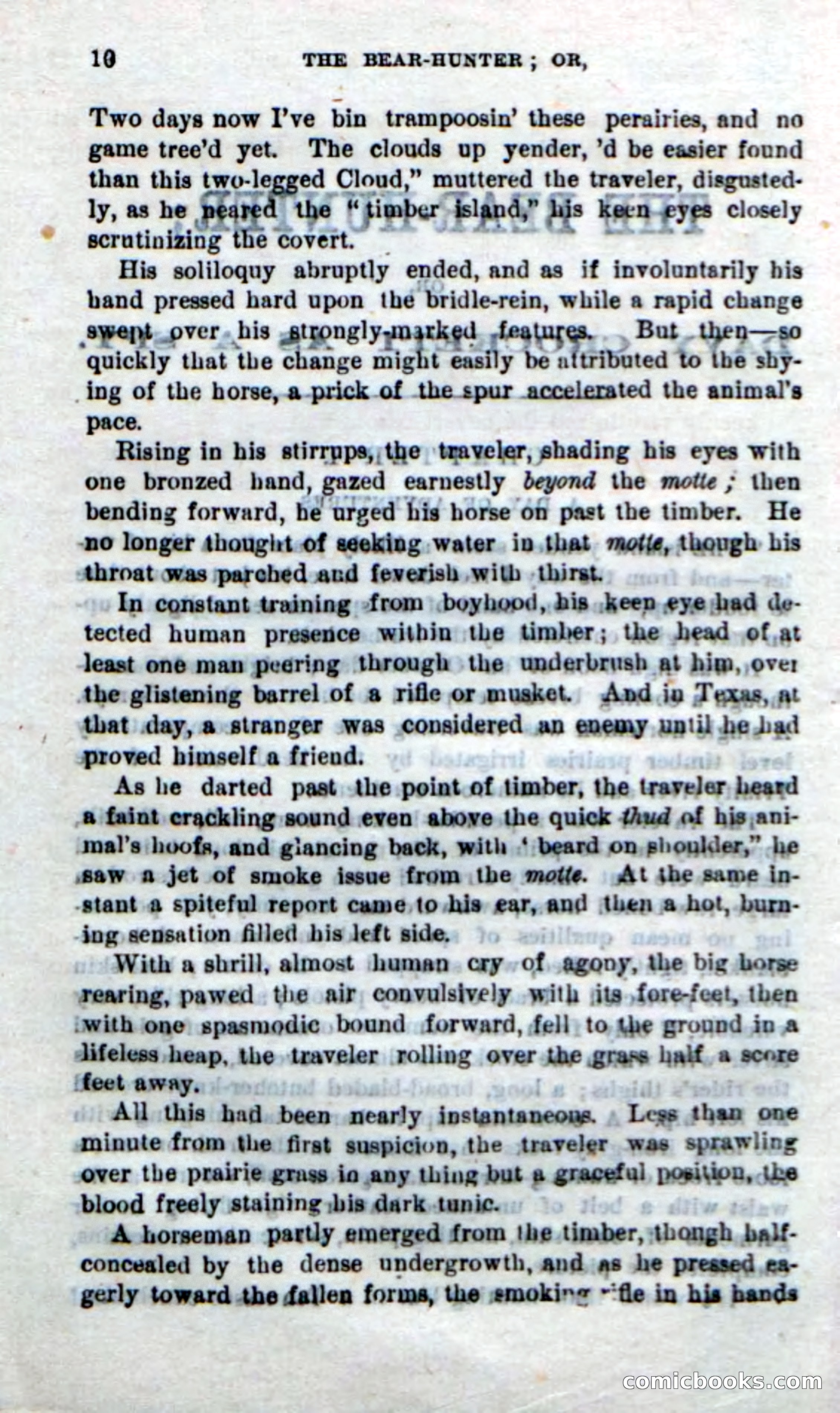 Beadle's New Dime Novels: The Bear-Hunter — page 6 of 100