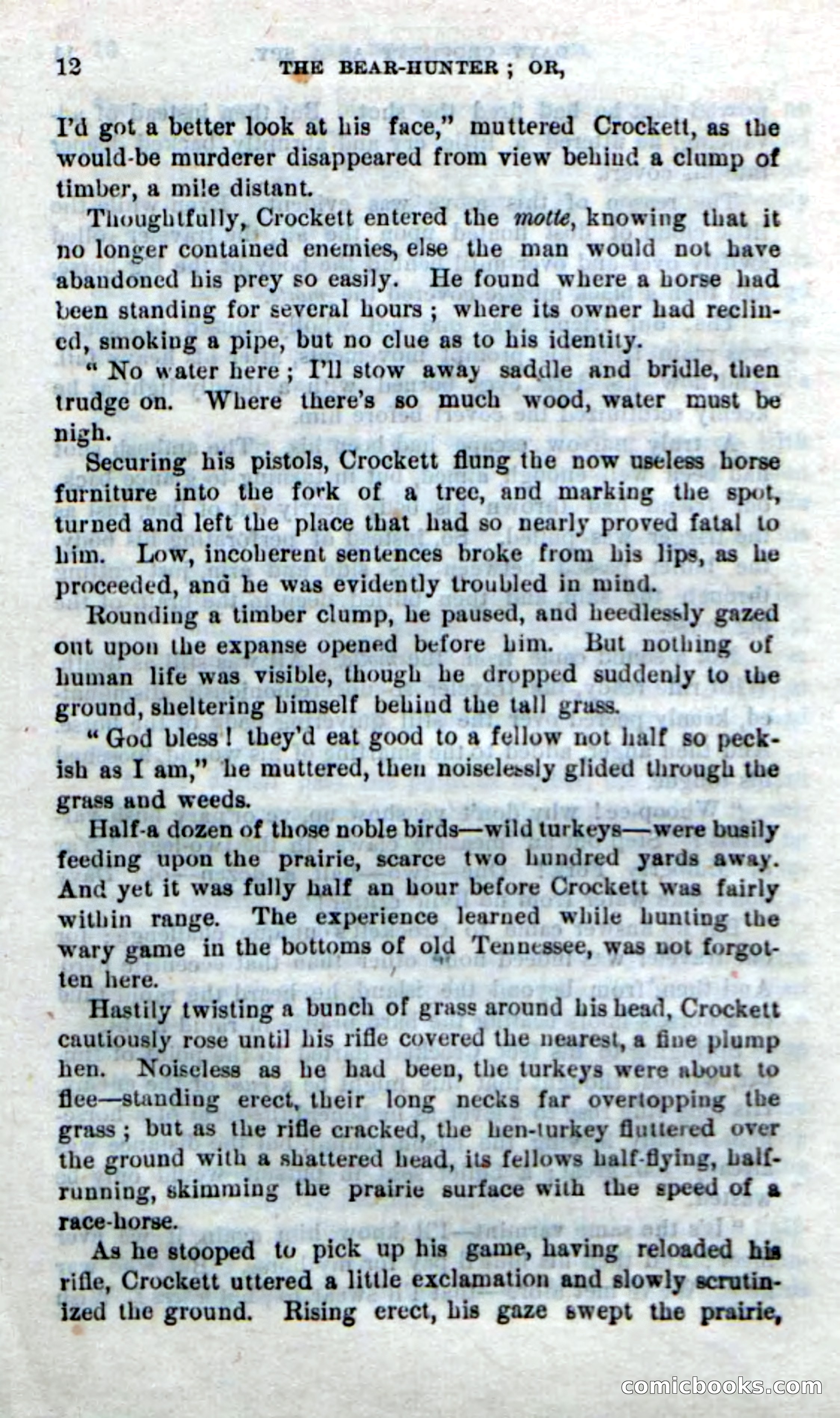 Beadle's New Dime Novels: The Bear-Hunter — page 8 of 100