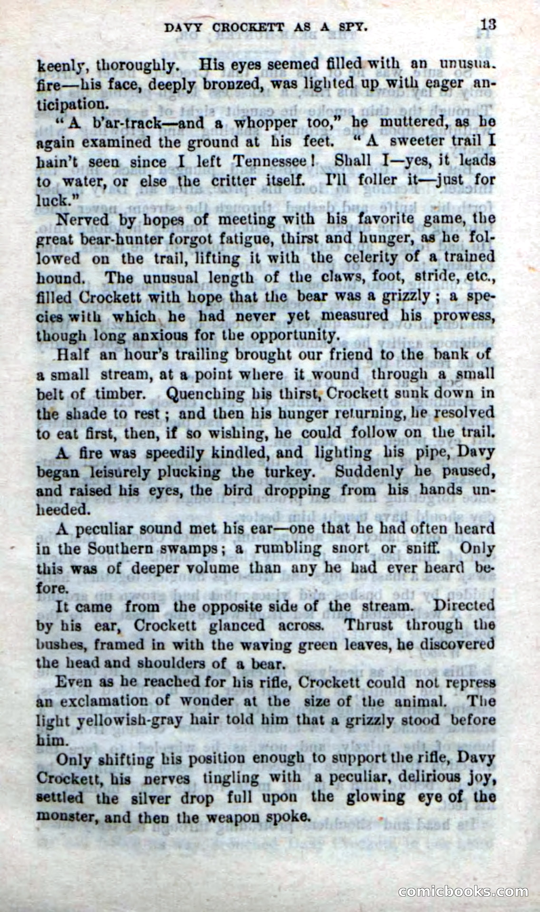 Beadle's New Dime Novels: The Bear-Hunter — page 9 of 100