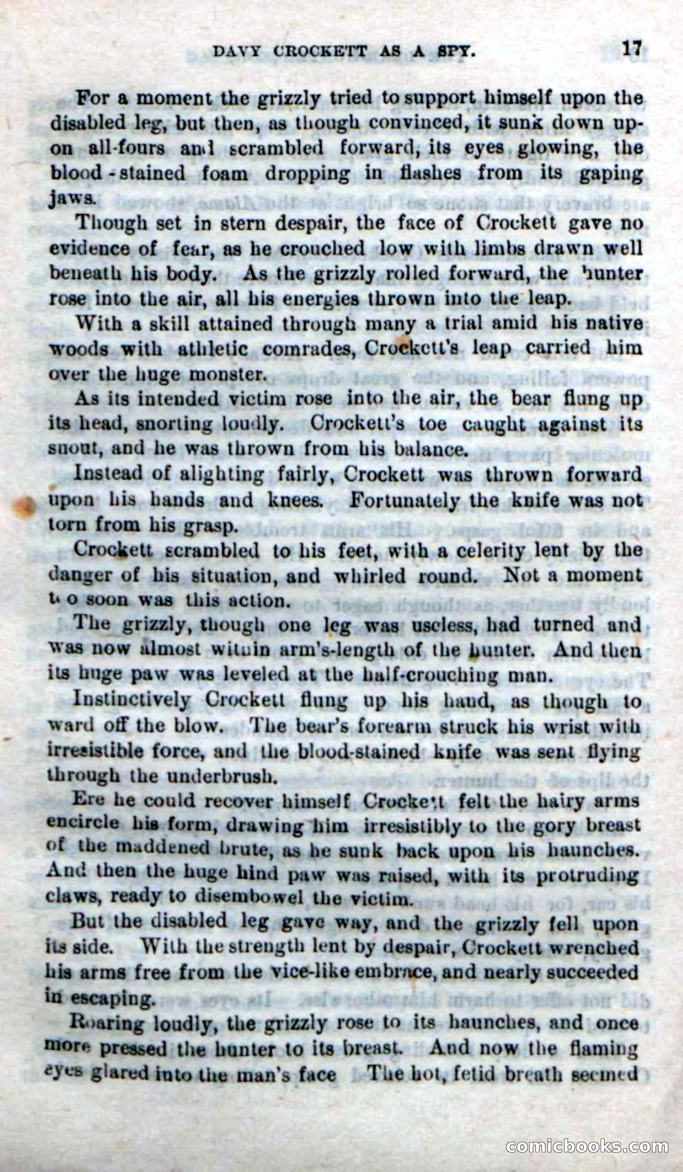 Beadle's New Dime Novels: The Bear-Hunter — page 13 of 100