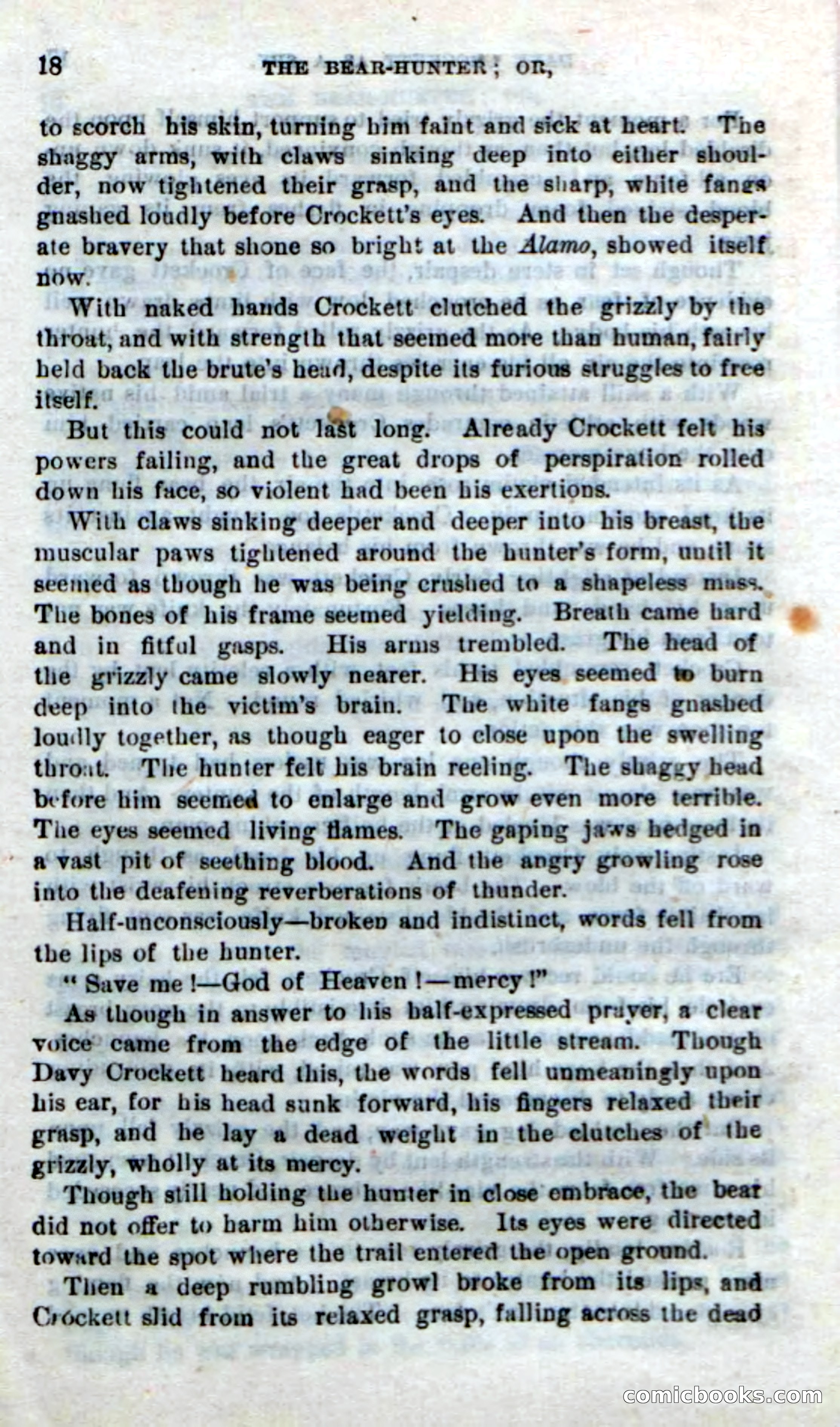Beadle's New Dime Novels: The Bear-Hunter — page 14 of 100