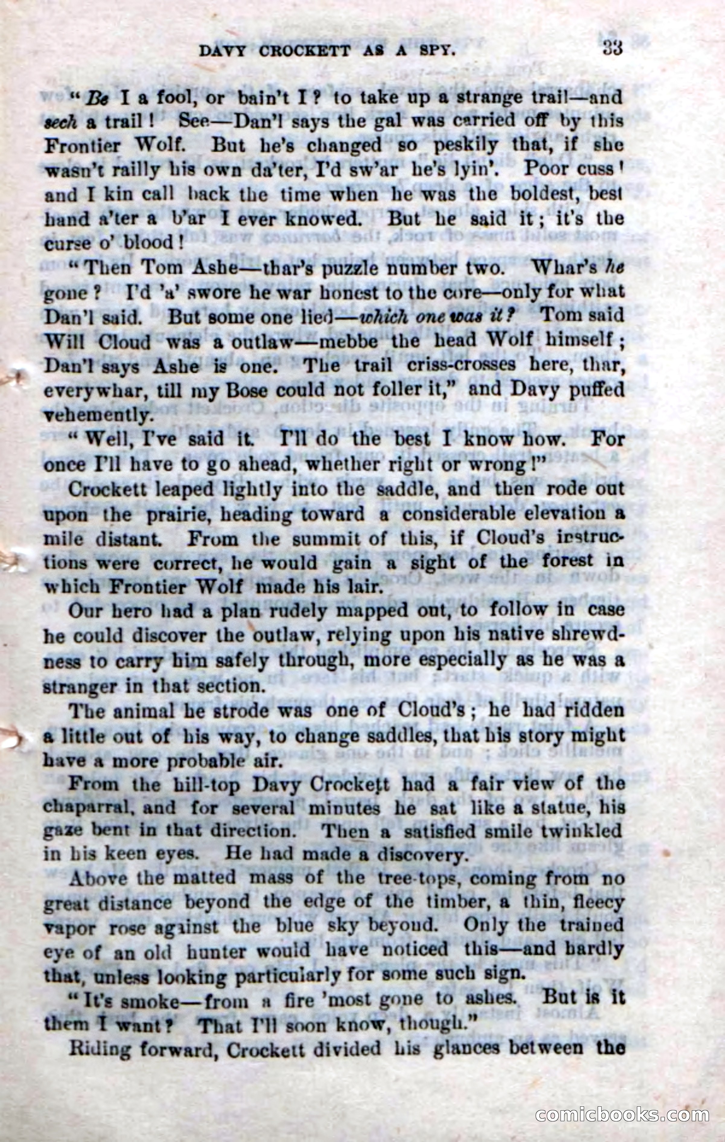 Beadle's New Dime Novels: The Bear-Hunter — page 29 of 100