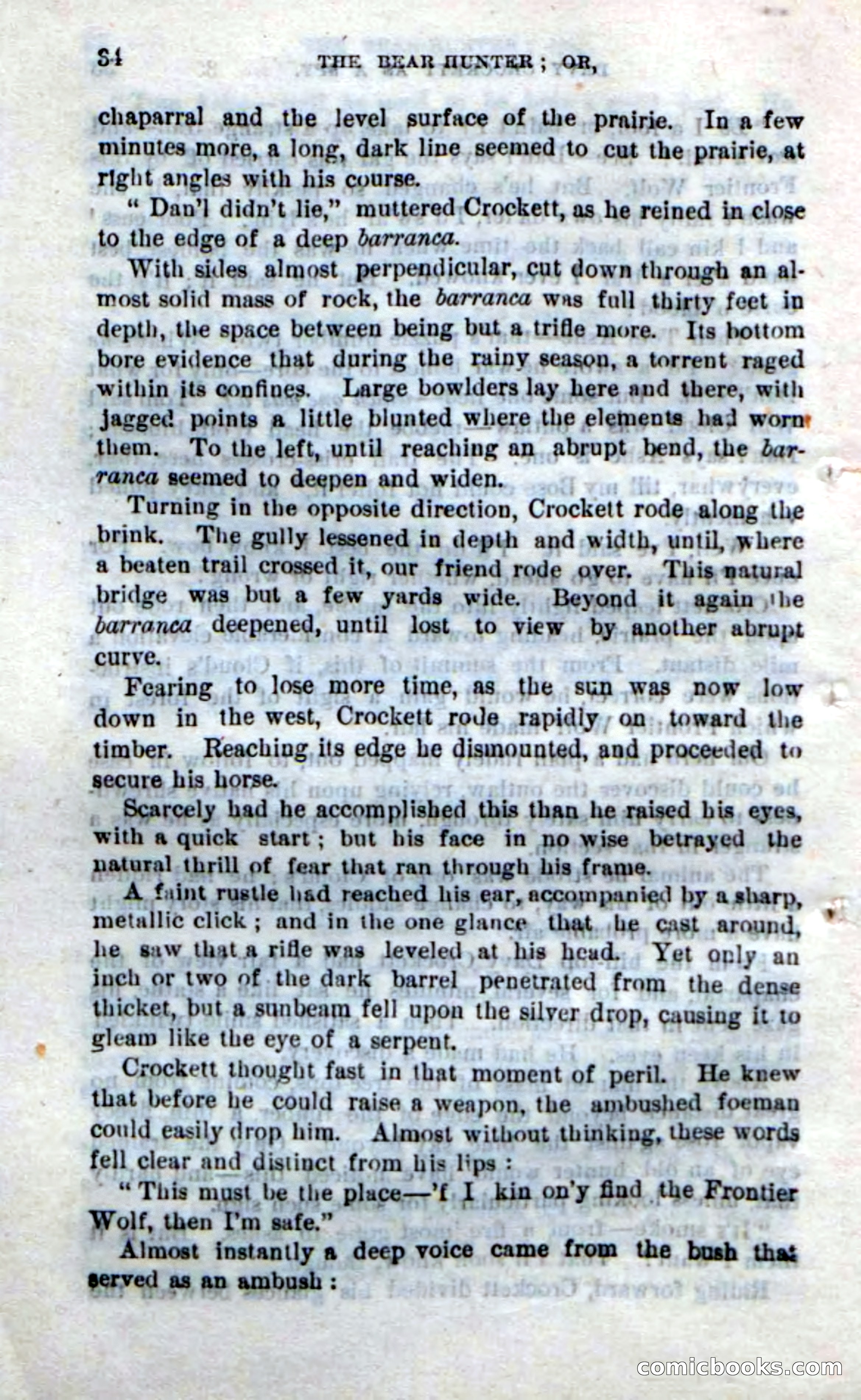 Beadle's New Dime Novels: The Bear-Hunter — page 30 of 100
