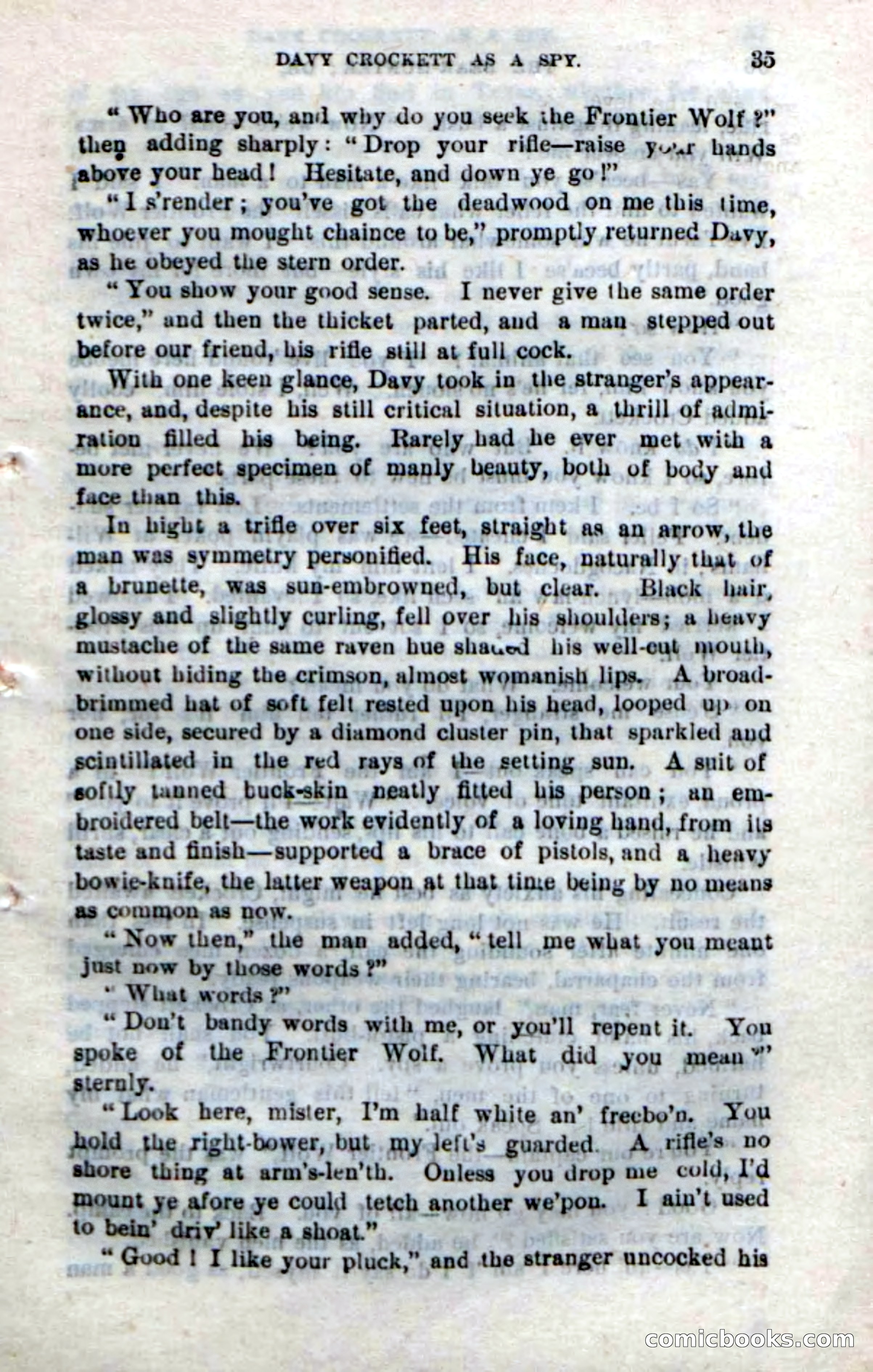 Beadle's New Dime Novels: The Bear-Hunter — page 31 of 100