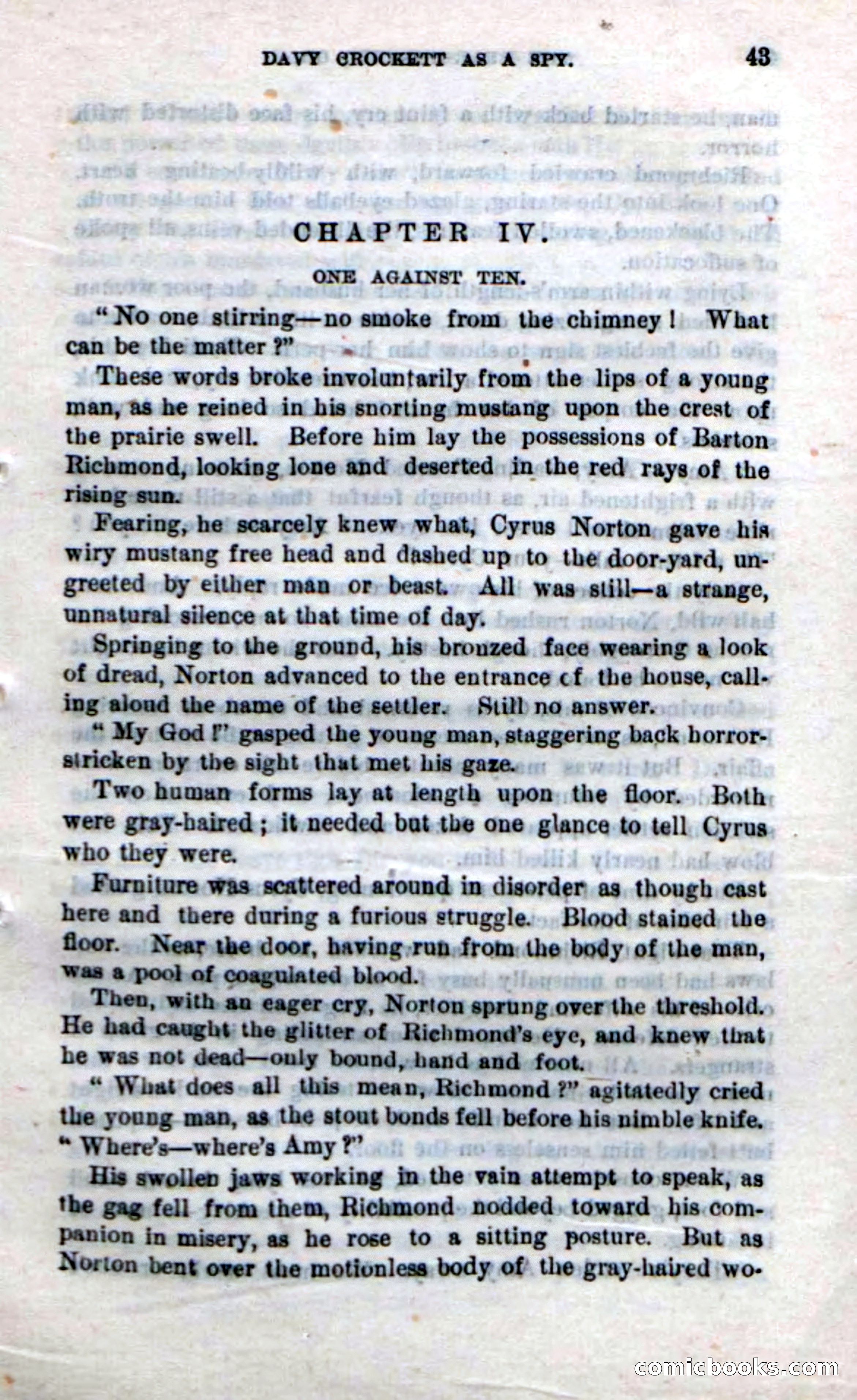 Beadle's New Dime Novels: The Bear-Hunter — page 39 of 100