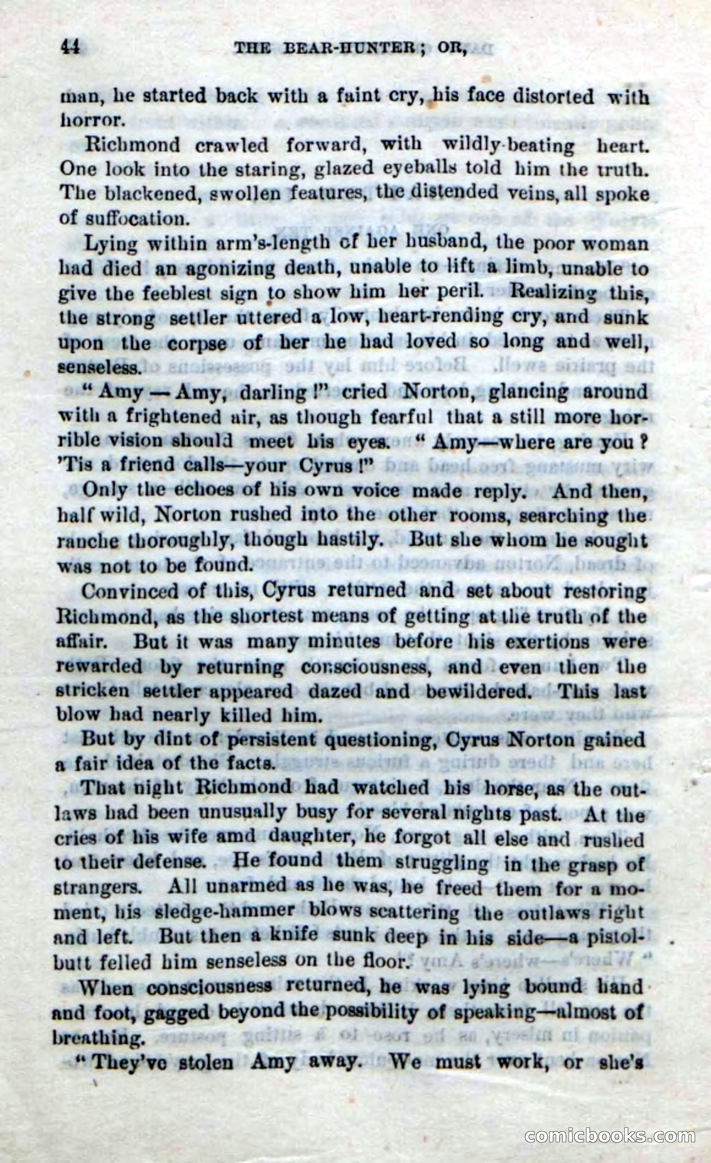 Beadle's New Dime Novels: The Bear-Hunter — page 40 of 100