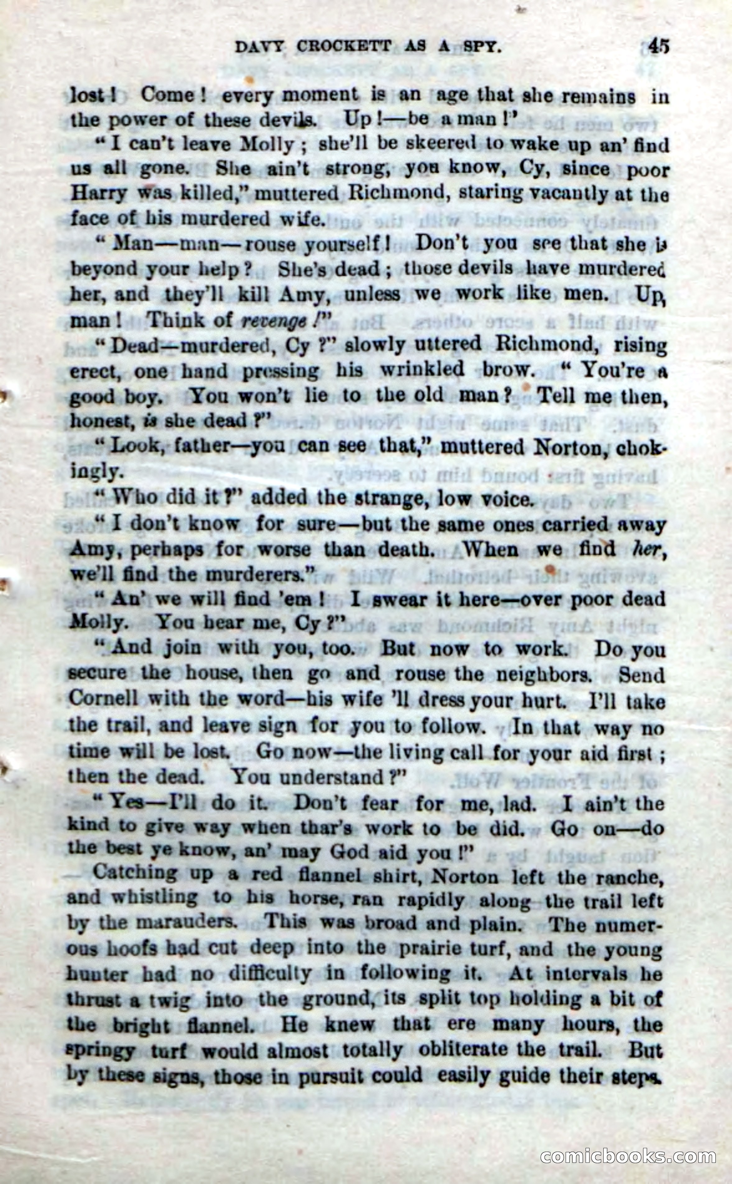 Beadle's New Dime Novels: The Bear-Hunter — page 41 of 100
