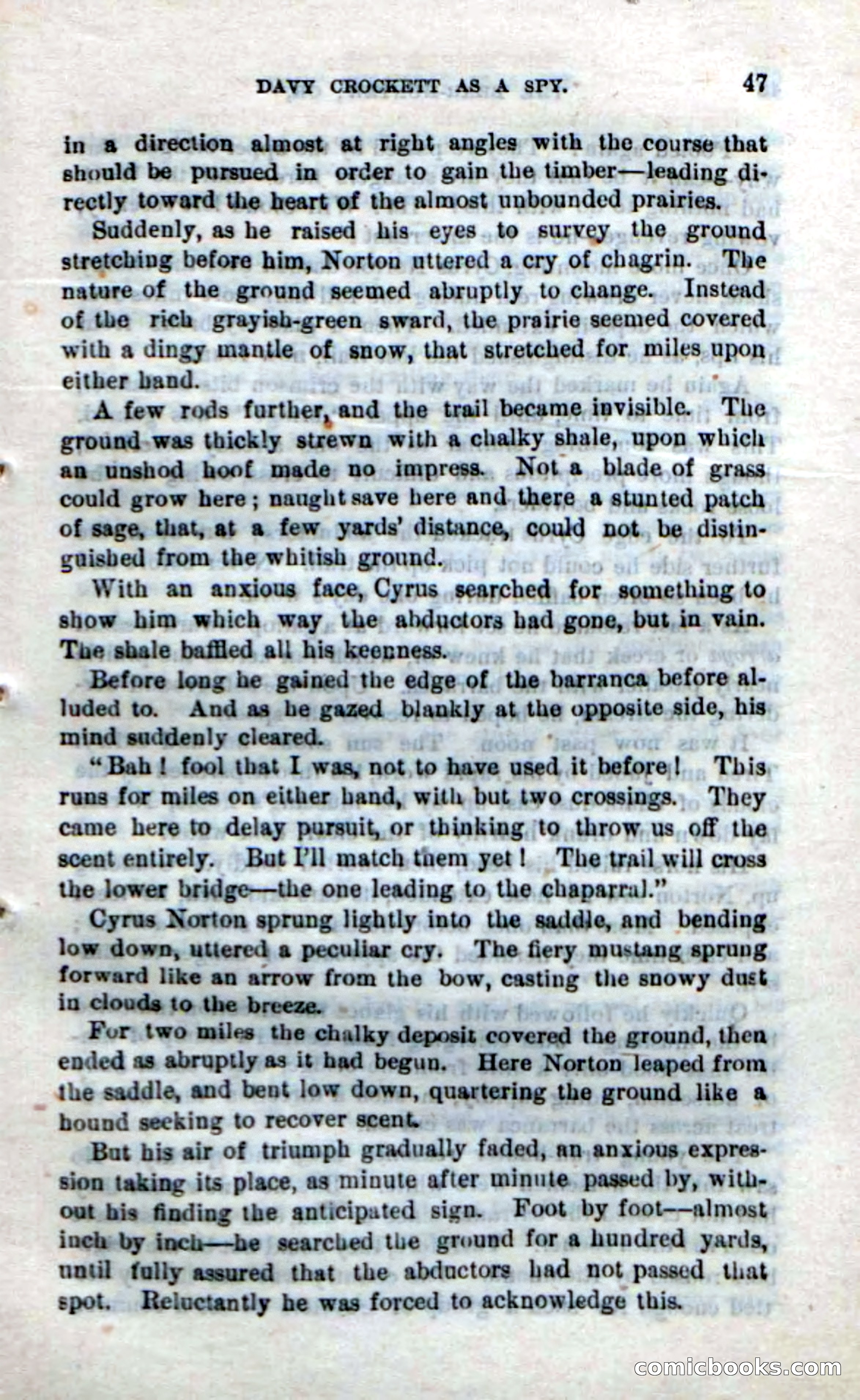 Beadle's New Dime Novels: The Bear-Hunter — page 43 of 100