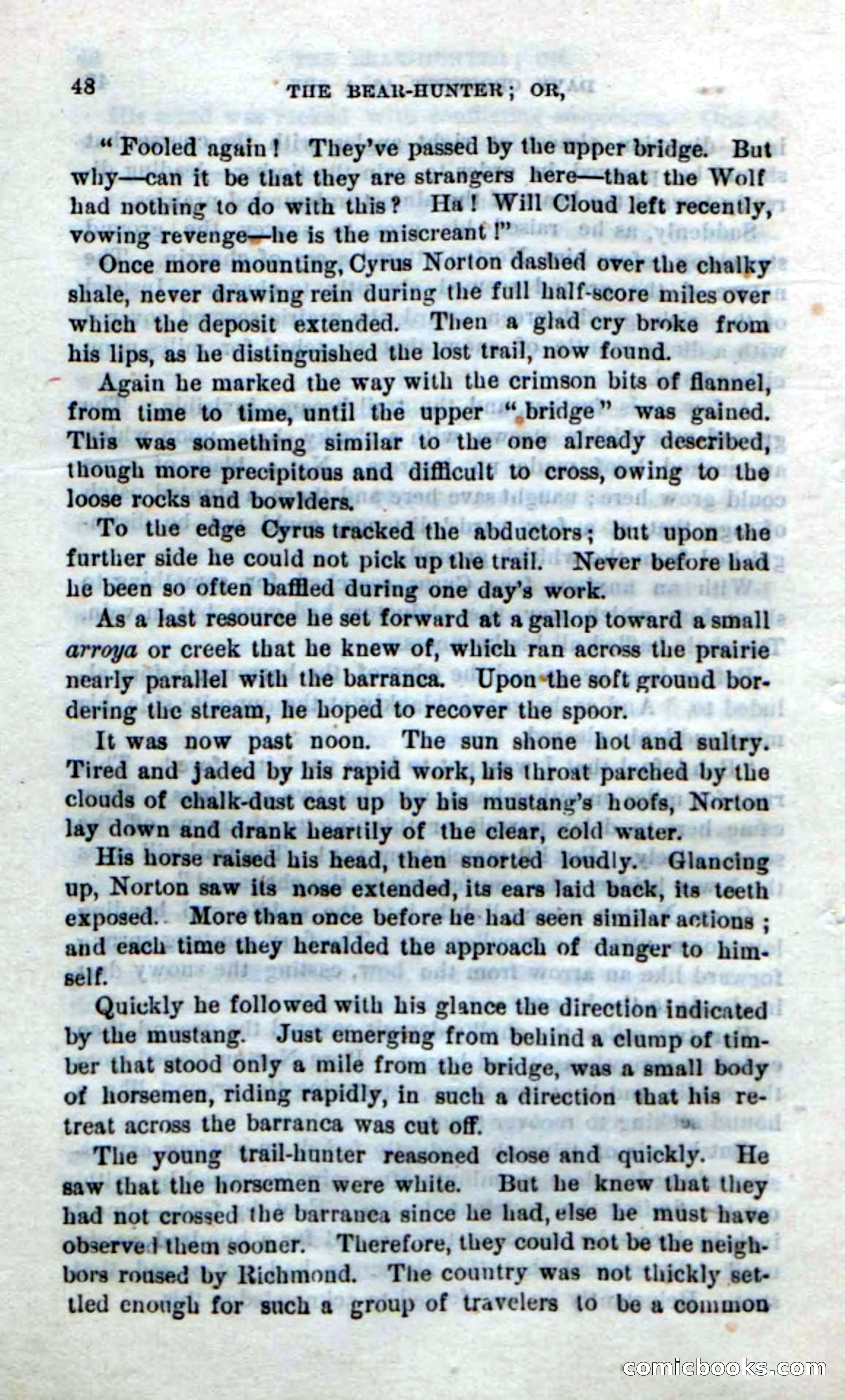 Beadle's New Dime Novels: The Bear-Hunter — page 44 of 100