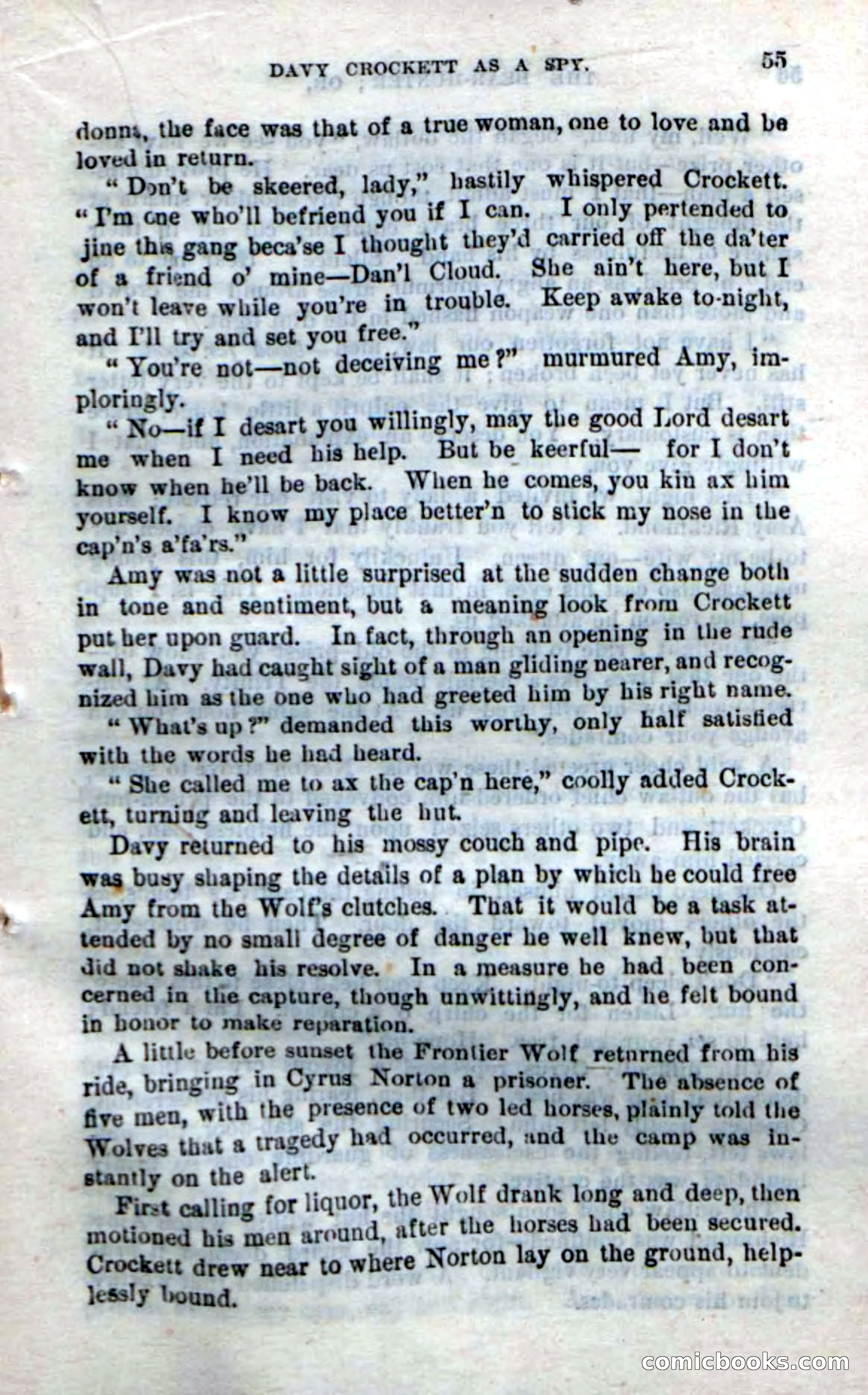 Beadle's New Dime Novels: The Bear-Hunter — page 51 of 100