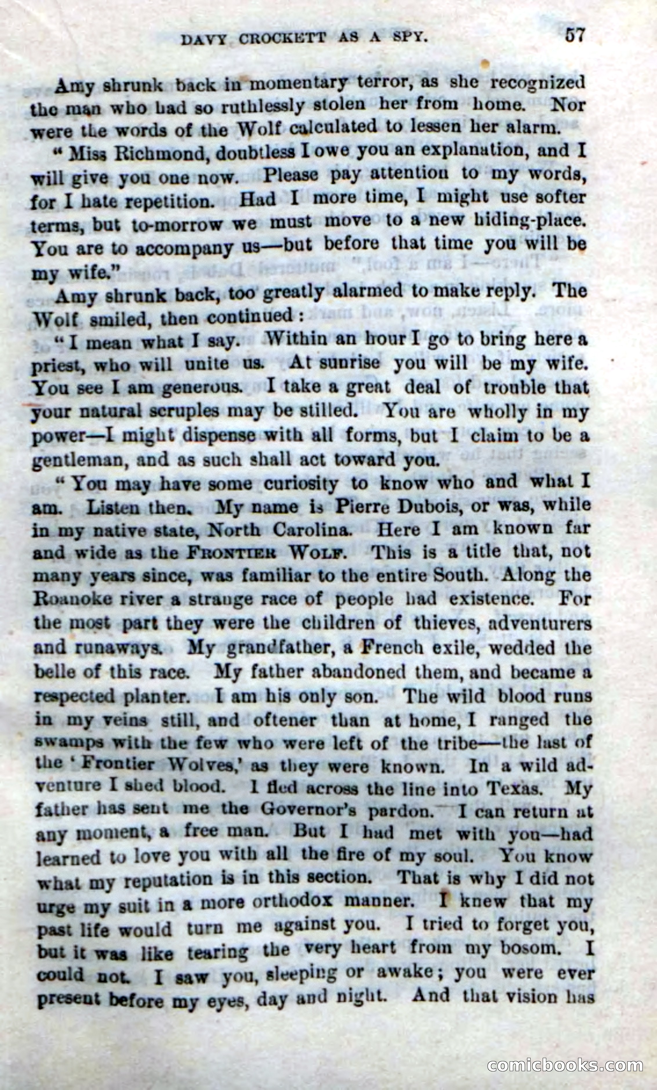 Beadle's New Dime Novels: The Bear-Hunter — page 53 of 100